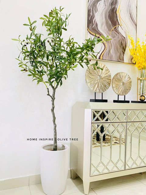 IMG_0641-1727507581114