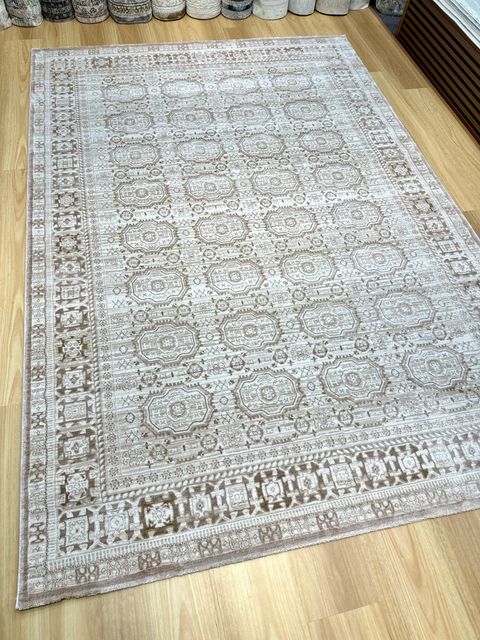 IMG_2444-1742440716423