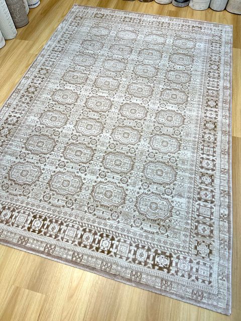 IMG_2445-1742440716559