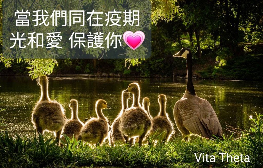 當我們同在疫期