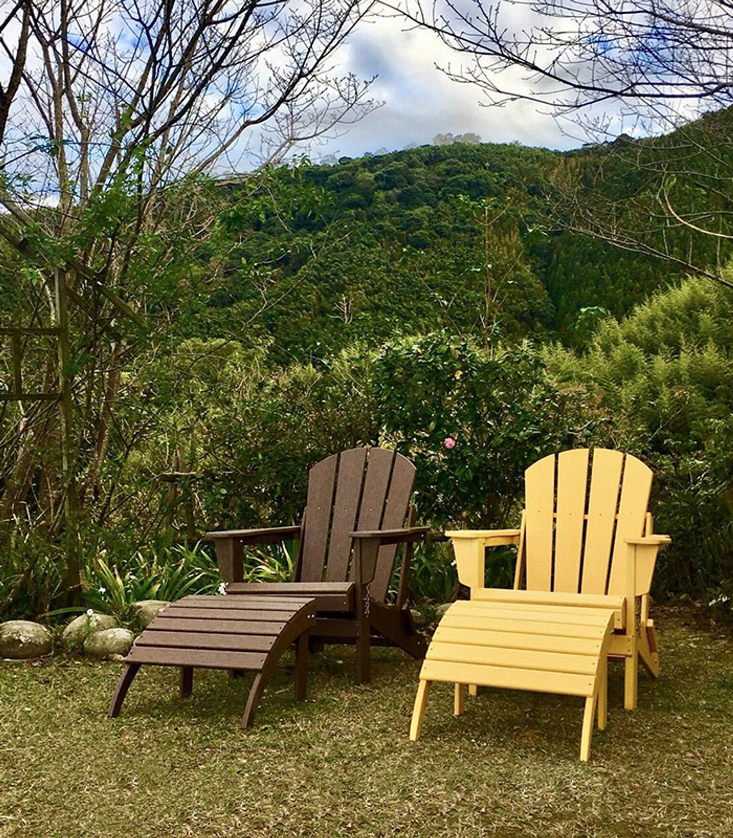 Homey Outdoor | 紅薔薇景觀花園