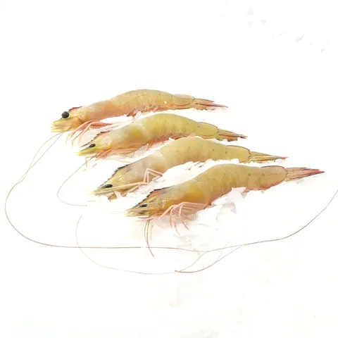 udang besar (5).jpg