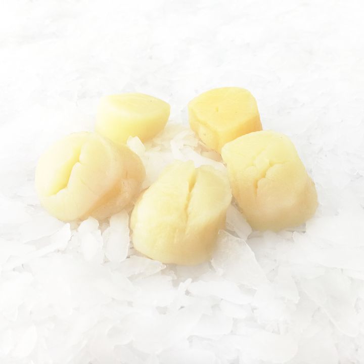 scallops (edited).jpg