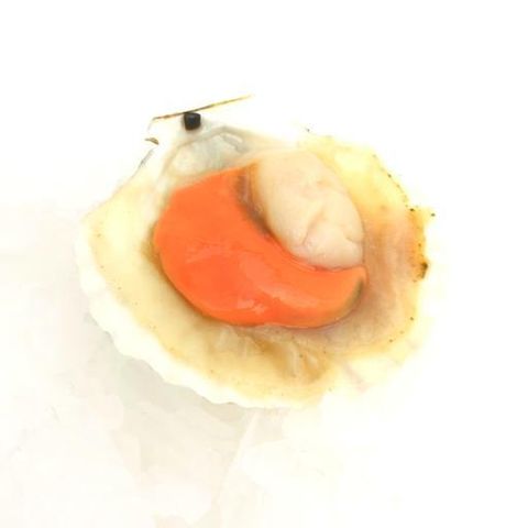 JumboHalfShellScallopwRoe0a7af0.jpg