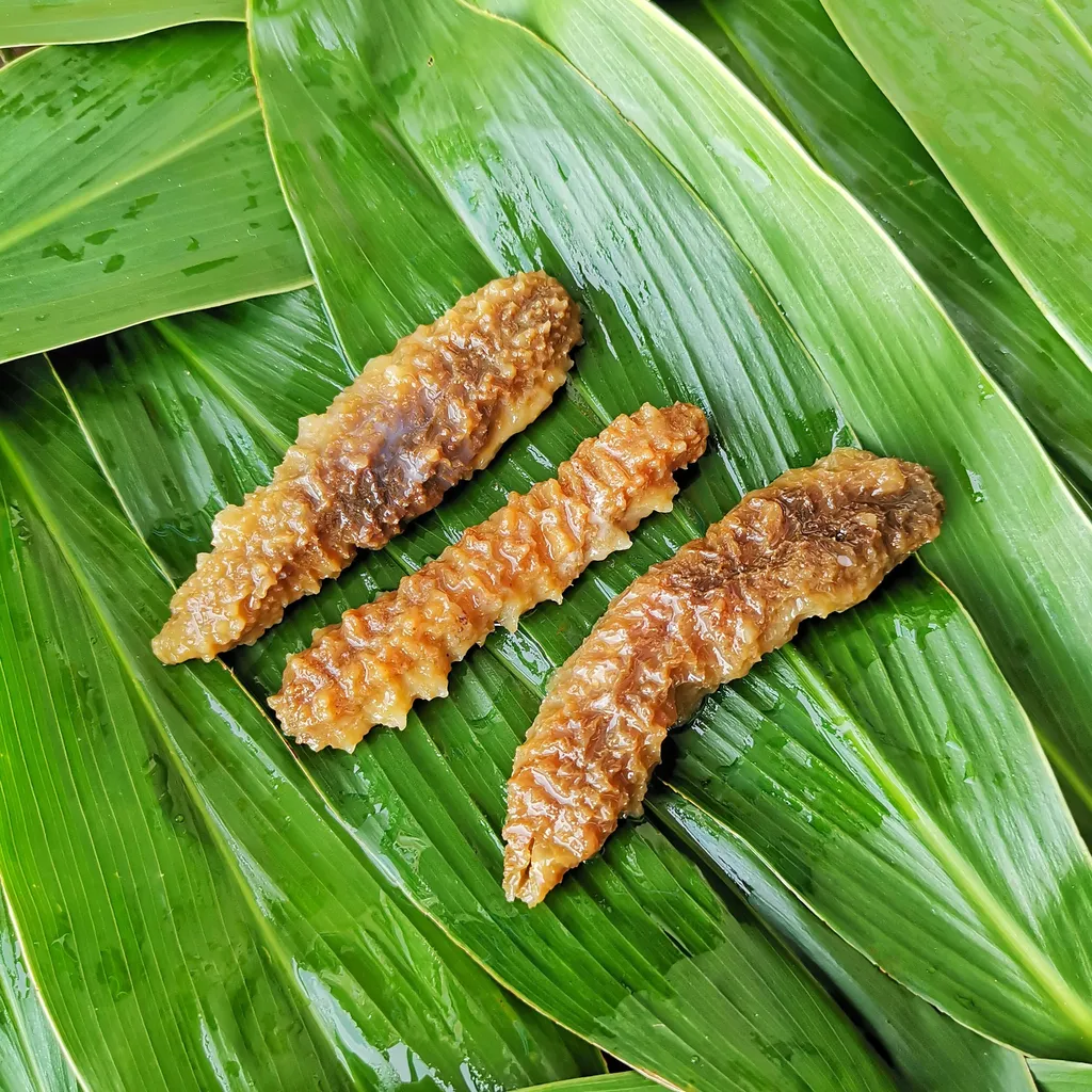 Sea Cucumber.jpeg