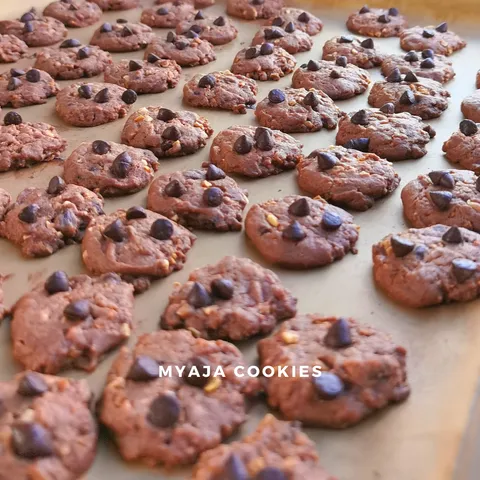 Chocolate Chip Picture Latest.png