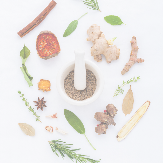 Accolade Chinese Medicine | Product Categories - RESPIRATORY SYSTEM 肺与呼吸