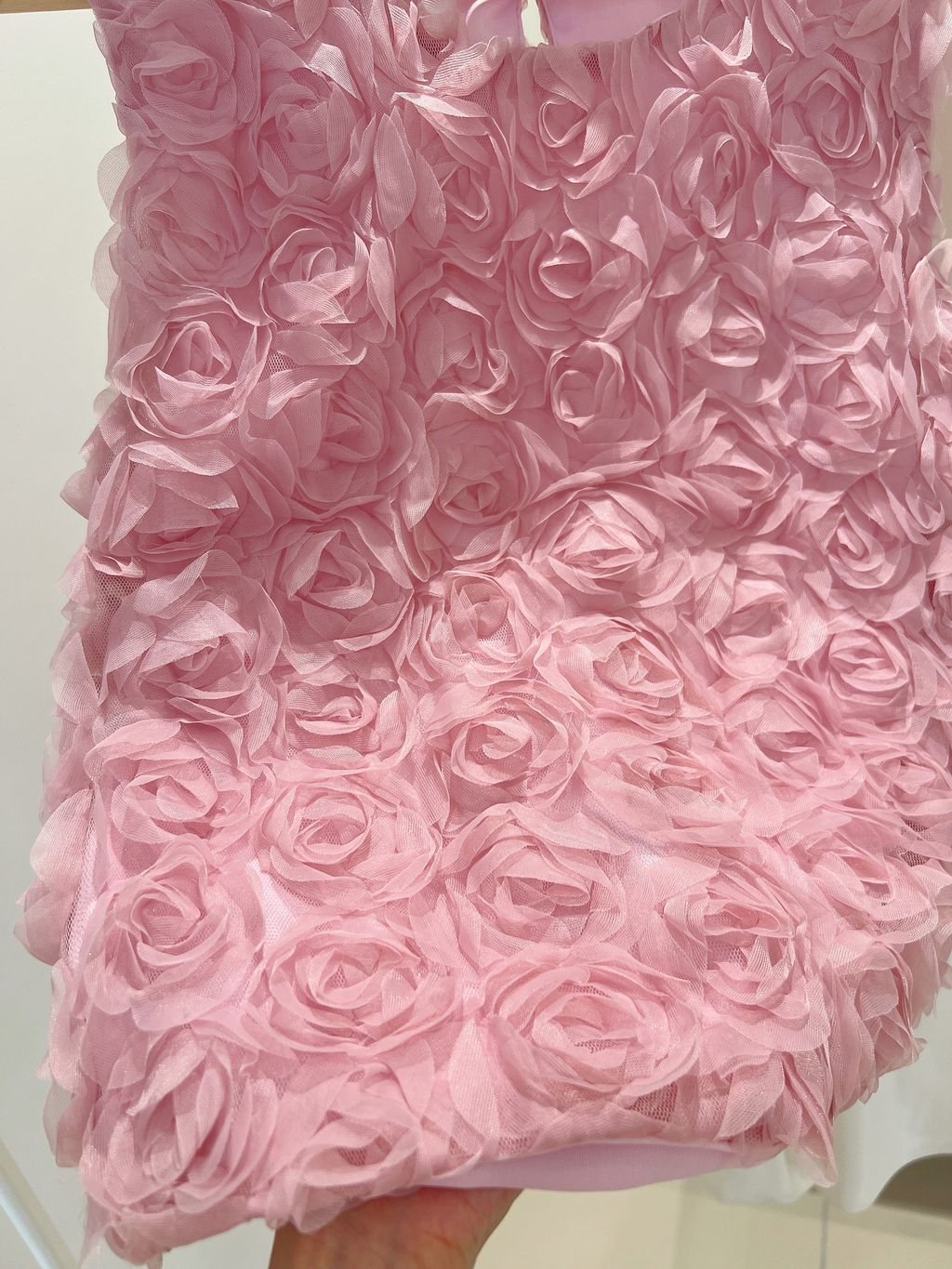 image_EC977B21-2737-4812-BE6E-604FEFED41F4_1761816601