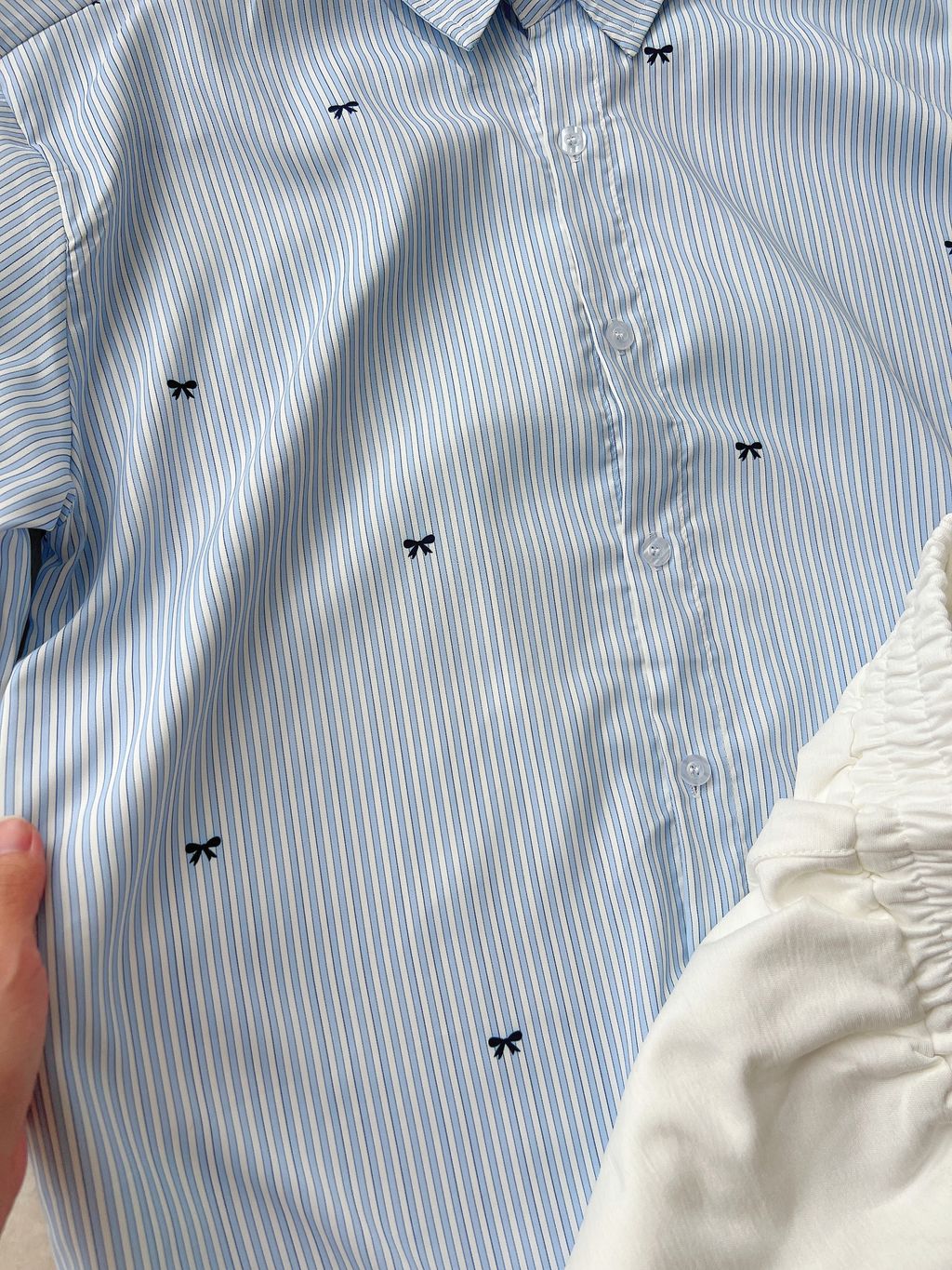 IMG_3650-1737433264285