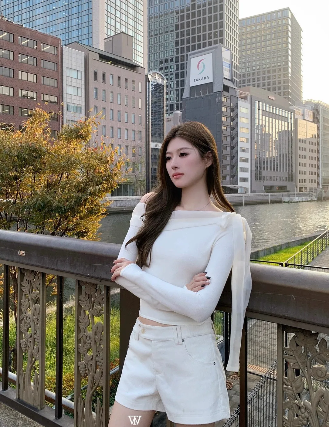 Beige杏色