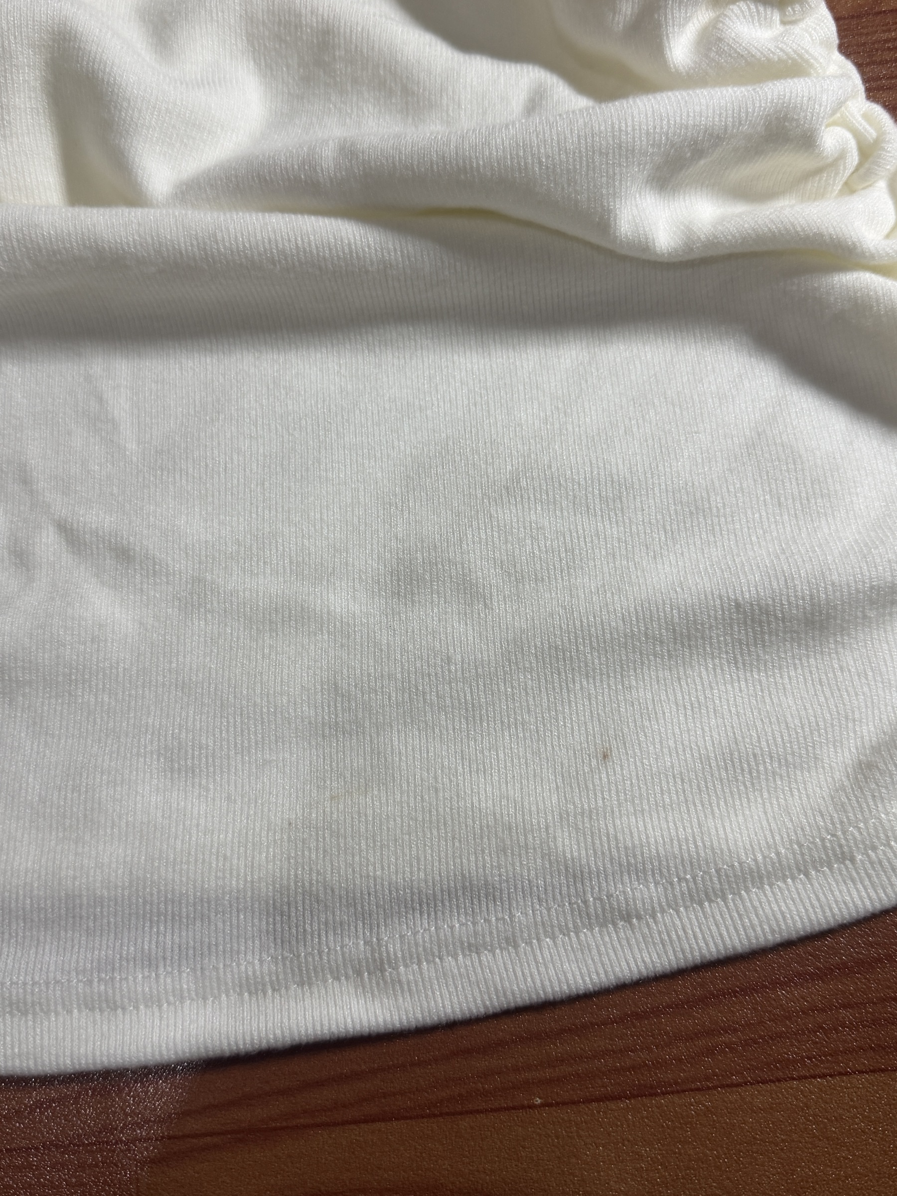 image_0CEE8E52-1E22-43E2-B844-02EA68208D43_1767281303