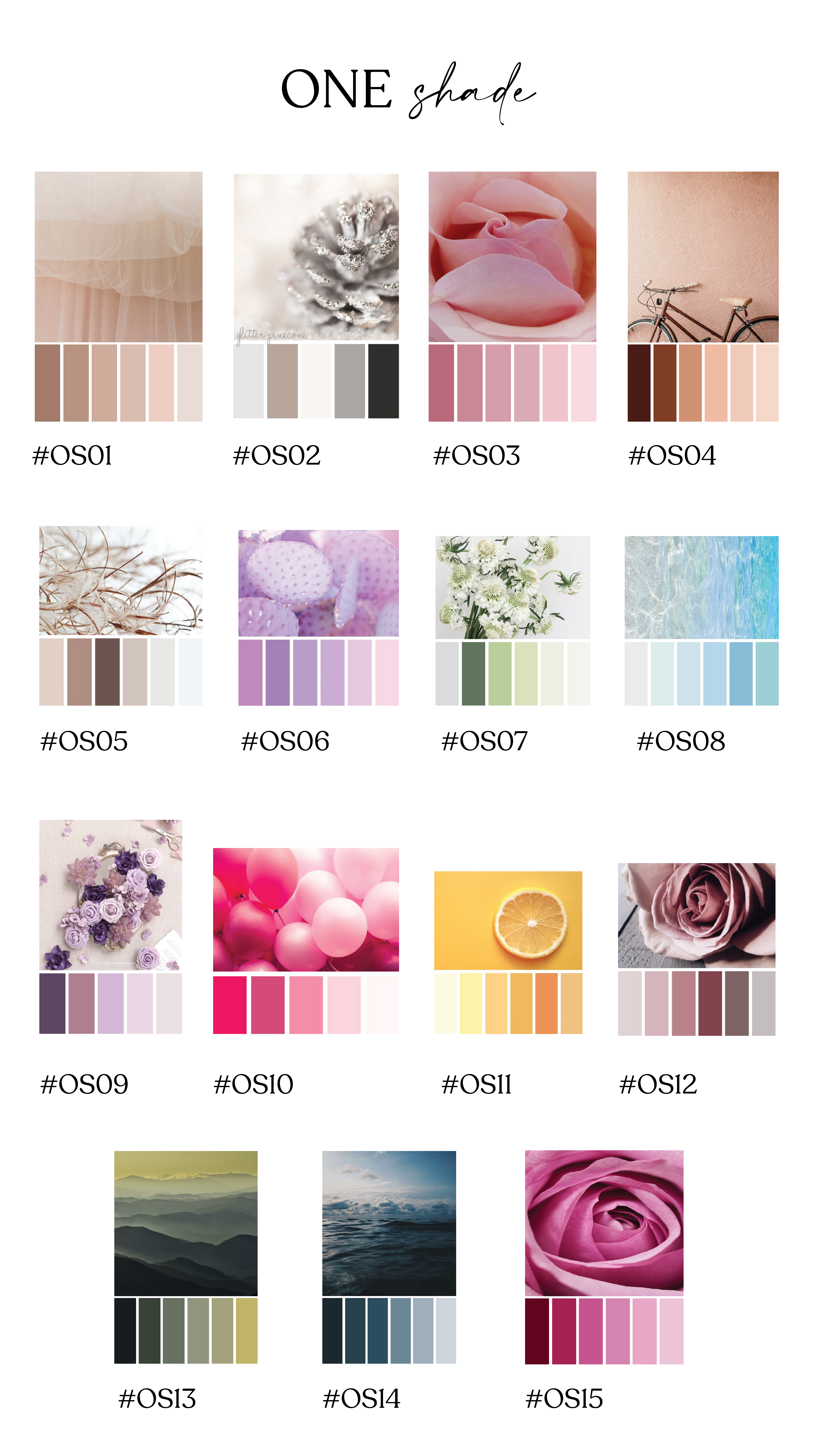 COLOR PALETTE-1