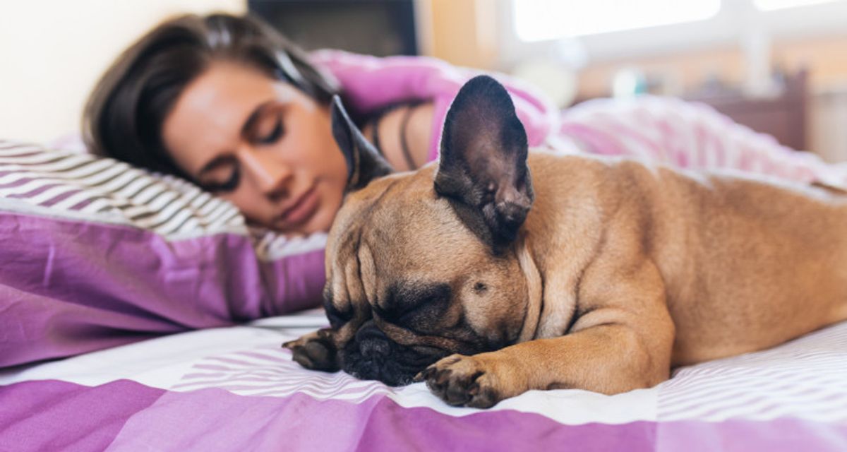 8 effective ways to fall asleep and stay asleep