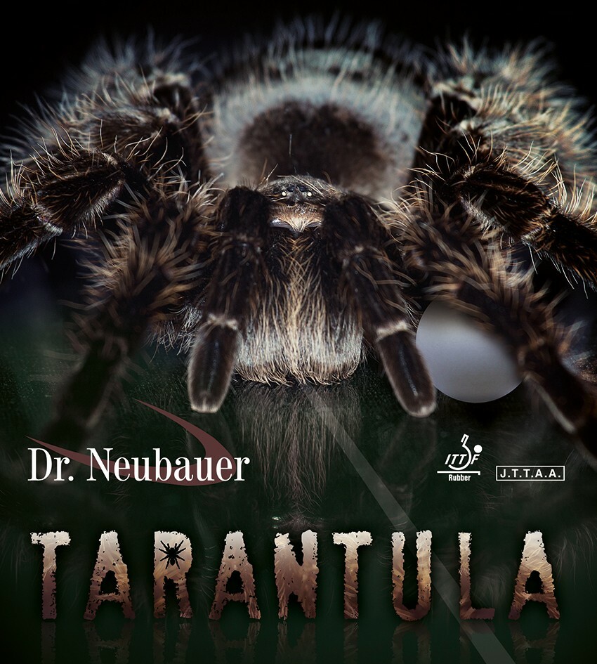 dr.neubauer_tarantula_10950.jpg