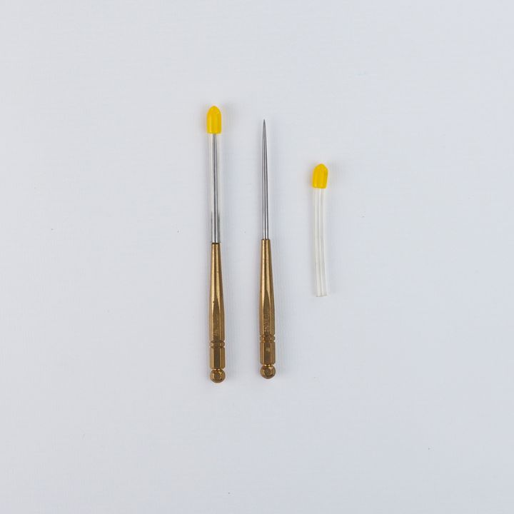 _12099982.jpg