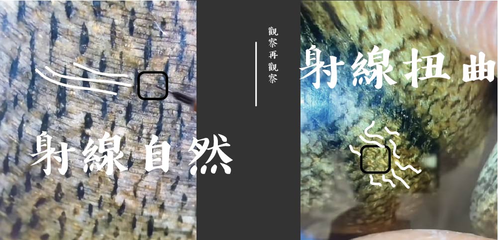 真假沉香-07