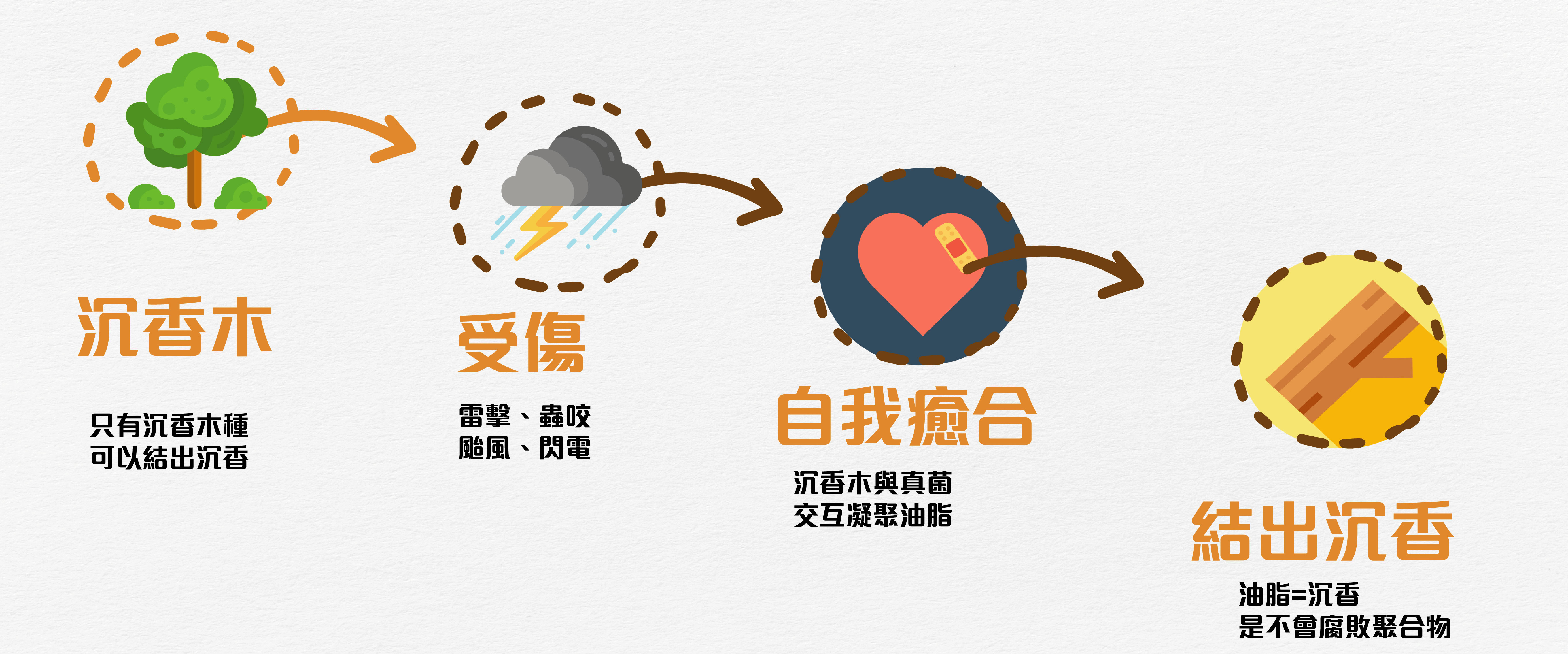 沉香癒合過程-01