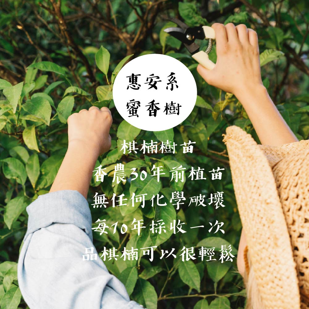 沉香手串隨行橢圓_雙圈-10