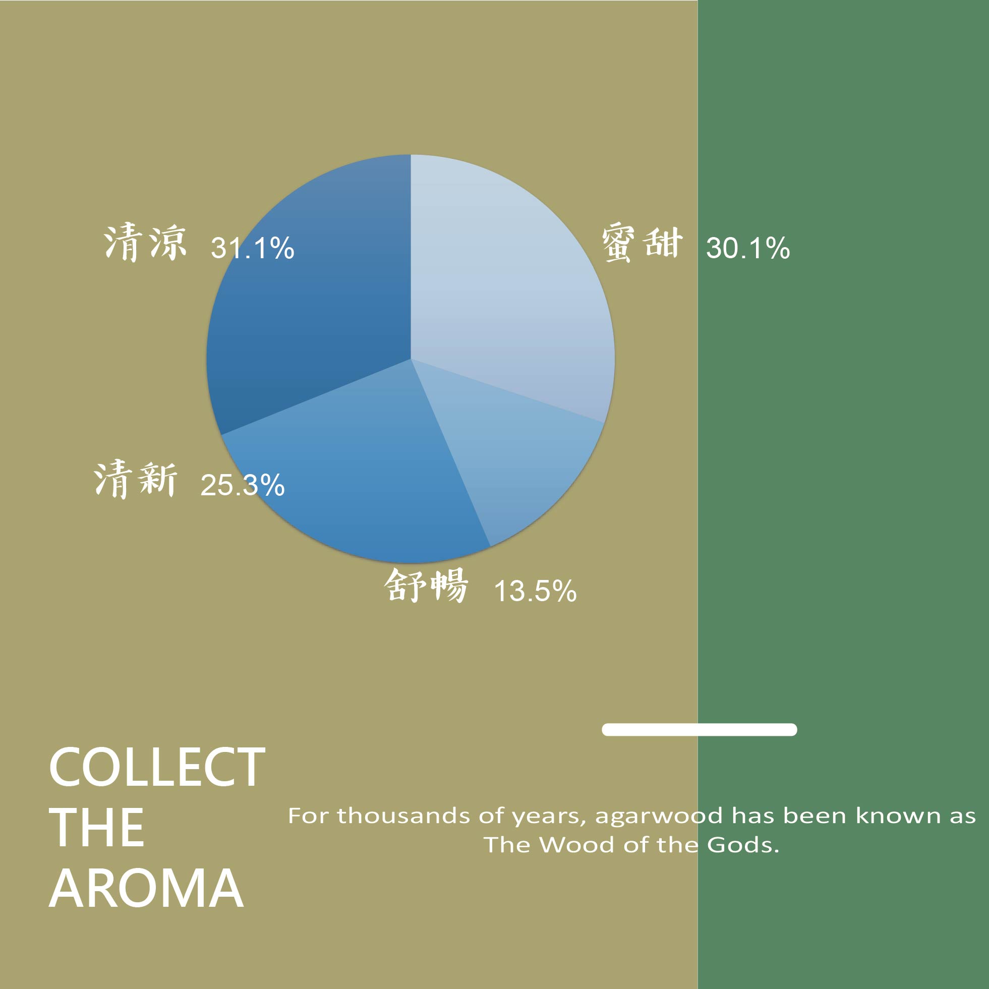 大王棋楠