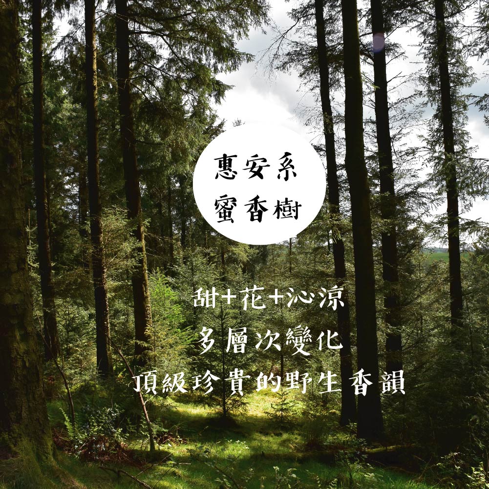 芽莊沉香粉-13