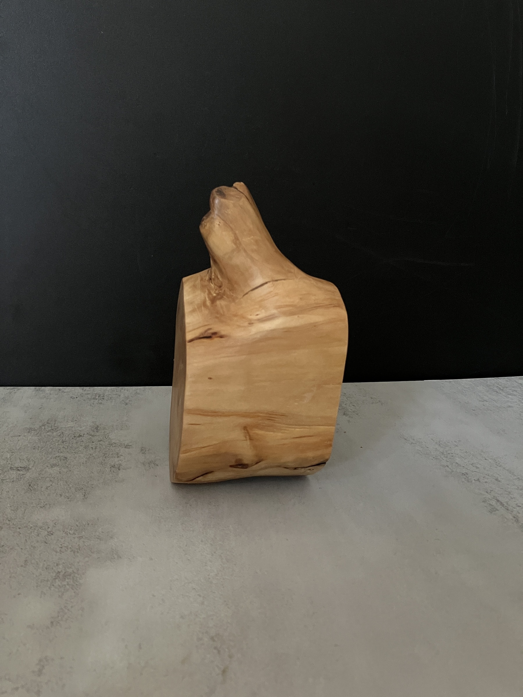 image_098D80A6-B5C2-421E-A531-6192B940752E_1772518015