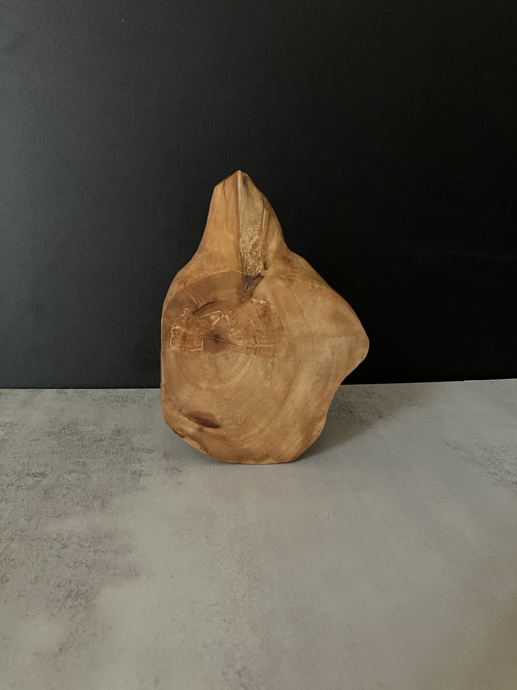 image_CC4833F0-12F3-49A7-A0CF-10D1C779AA02_1772518015