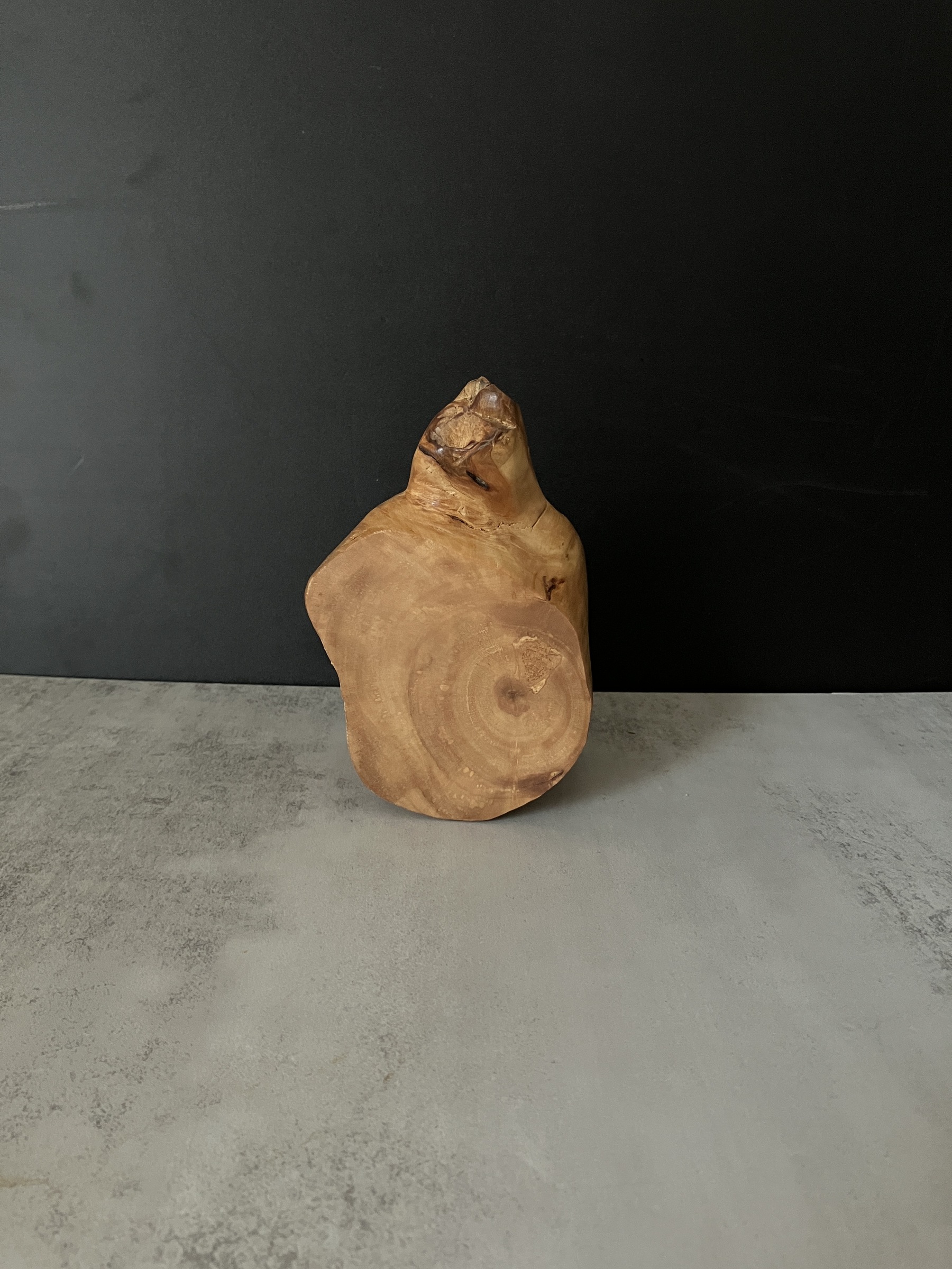 image_10DD3F85-8A6B-4E79-8C10-0187C566050F_1772518015