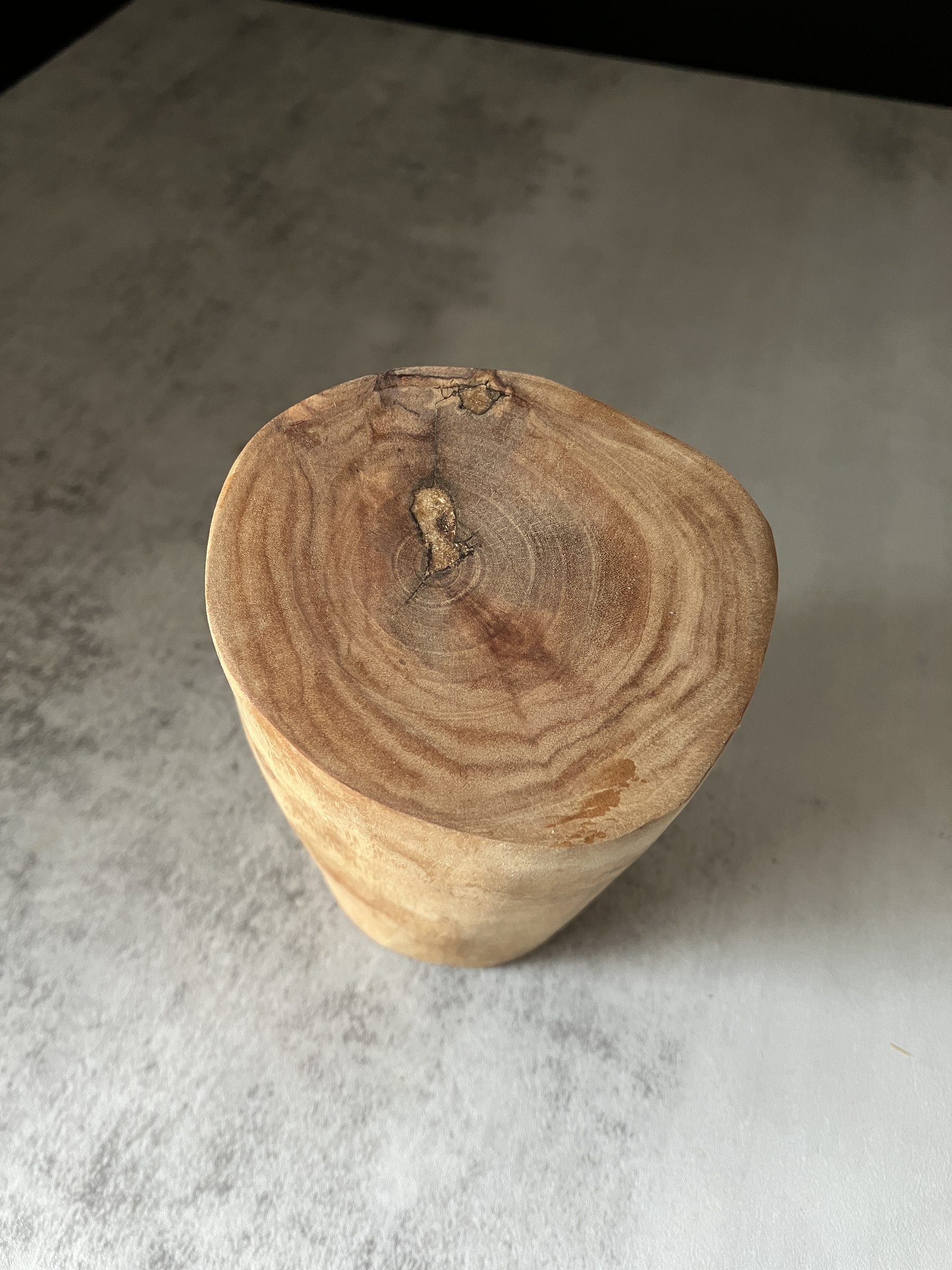 image_29511223-1009-407F-9619-A96818D7D033_1772518724