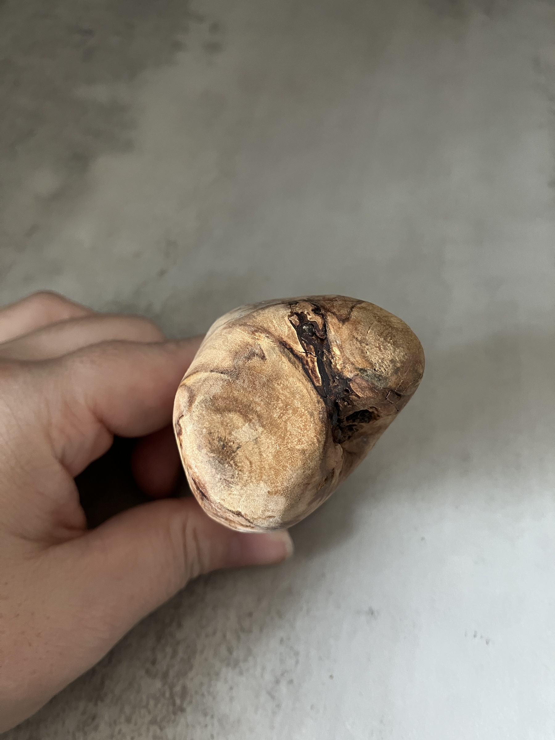 image_C336D083-CF30-47B1-93F3-E338427C2164_1772518954