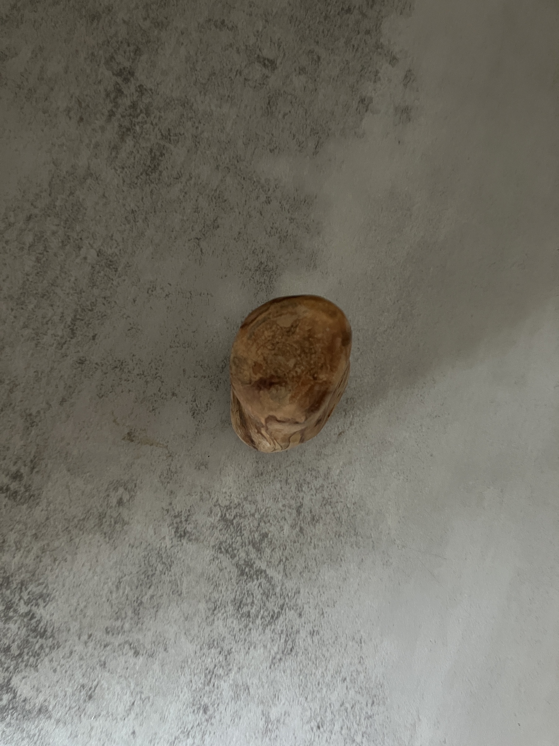 image_2F765551-BA61-4E0D-8EB8-ACDF52B50FAC_1772518954