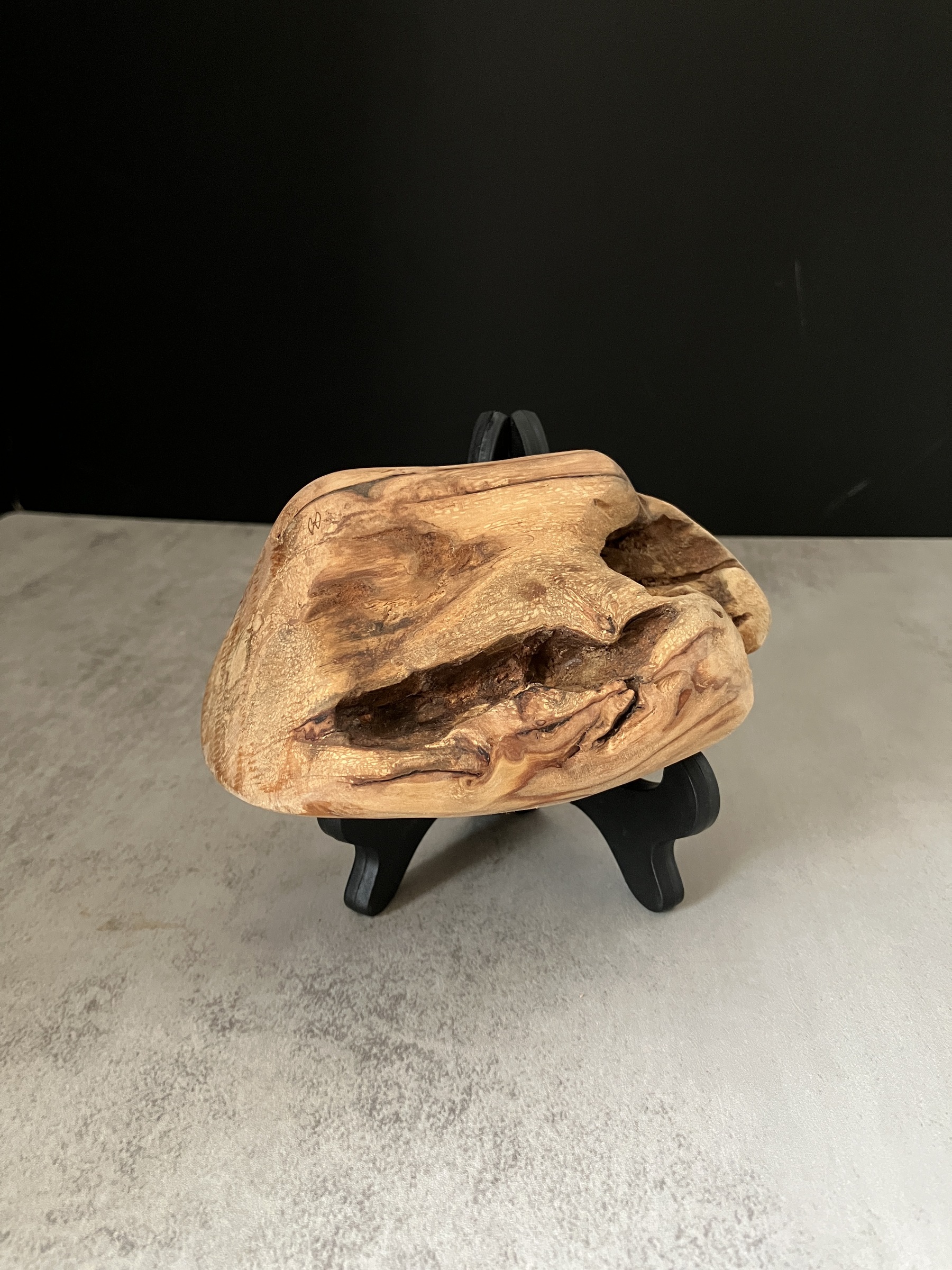 image_04480CF6-4F94-45FE-95E3-FA5284B01DB9_1772519379