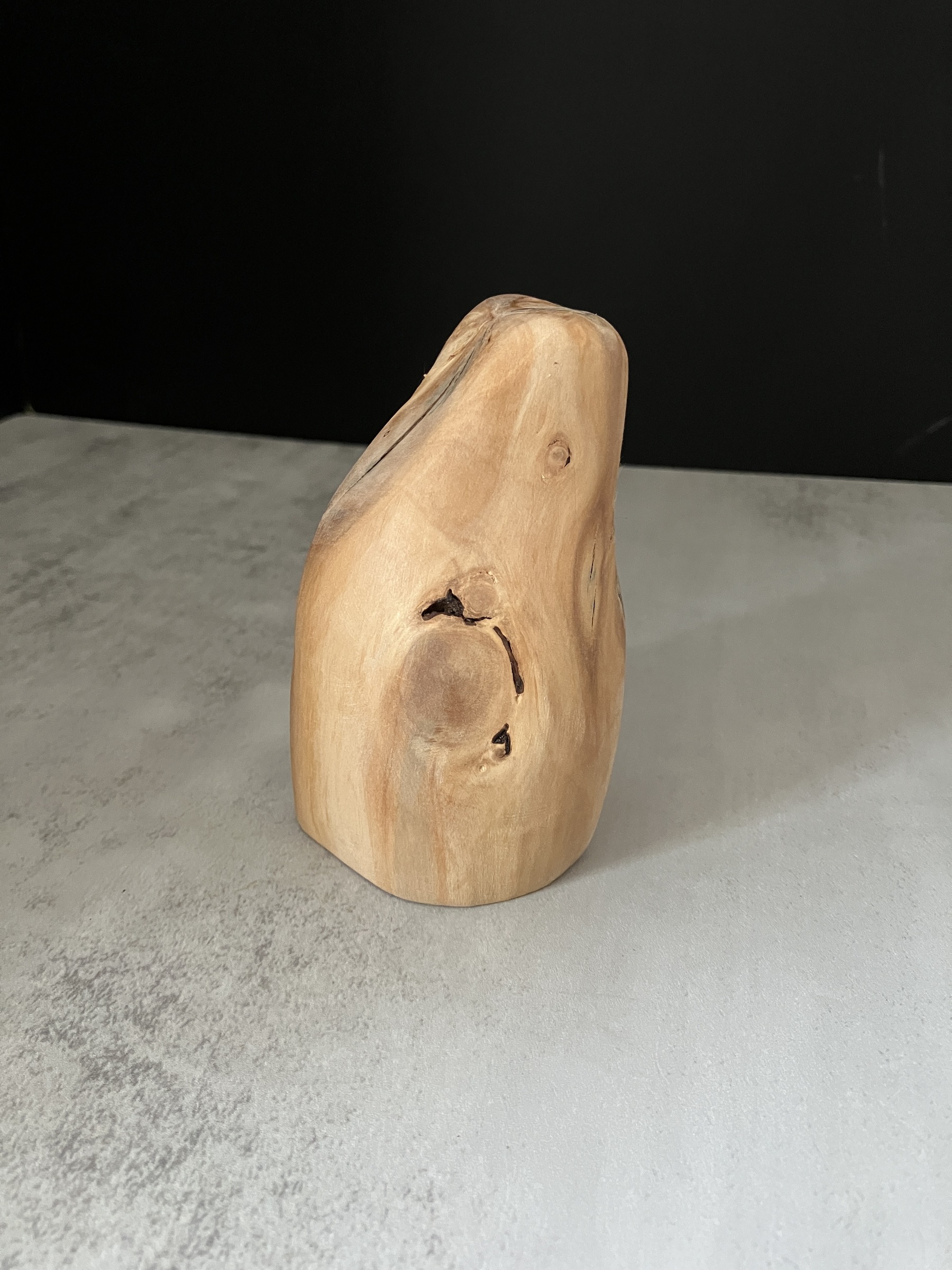 image_05586B2E-ECAB-400A-B5D4-A47CDF6D1C47_1772519753