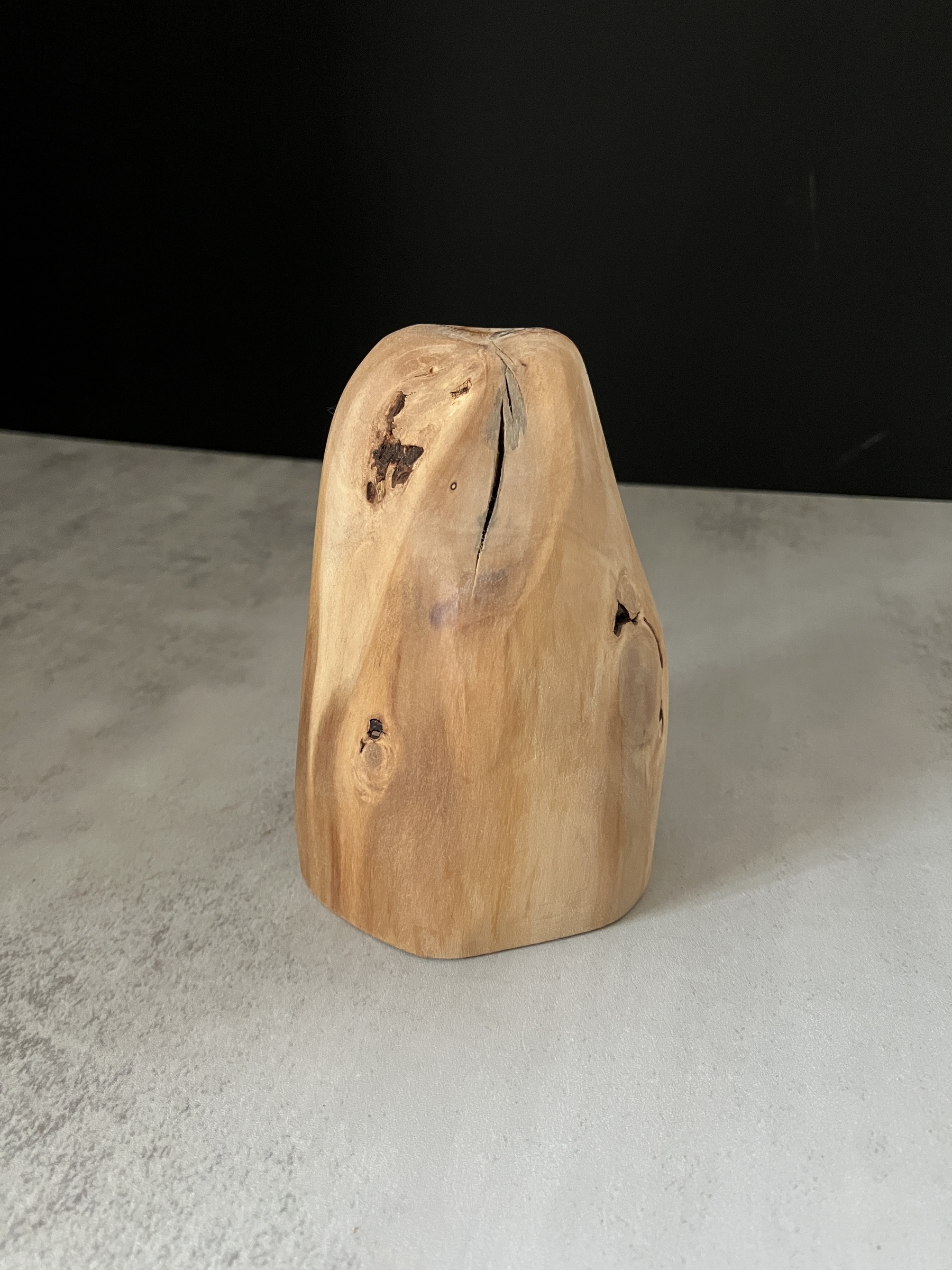 image_4B422AB1-439B-43E0-A465-417AB9DD289C_1772519753