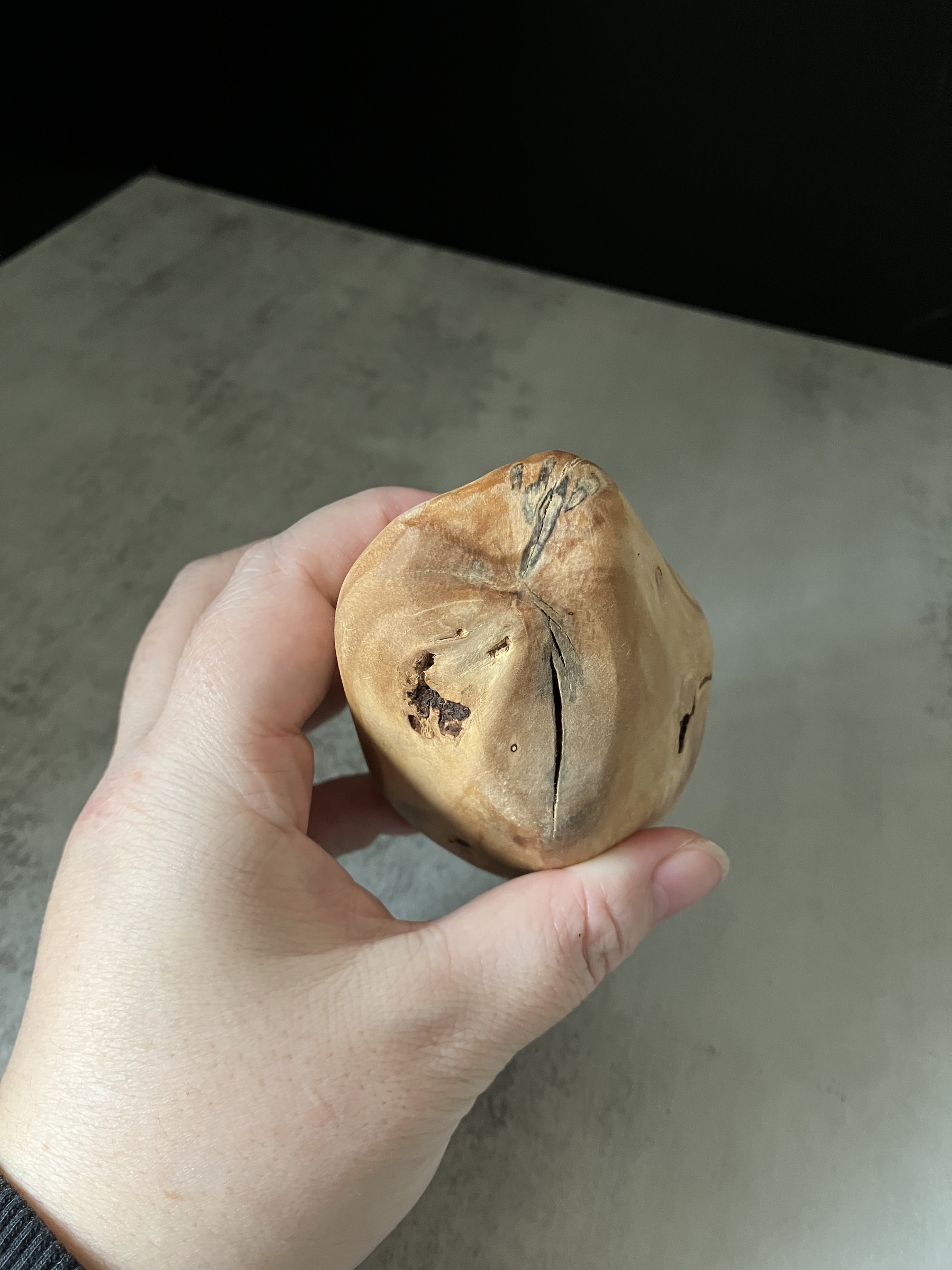 image_792D716B-CB7E-4C64-AFB3-E96C7D91F2A4_1772519753