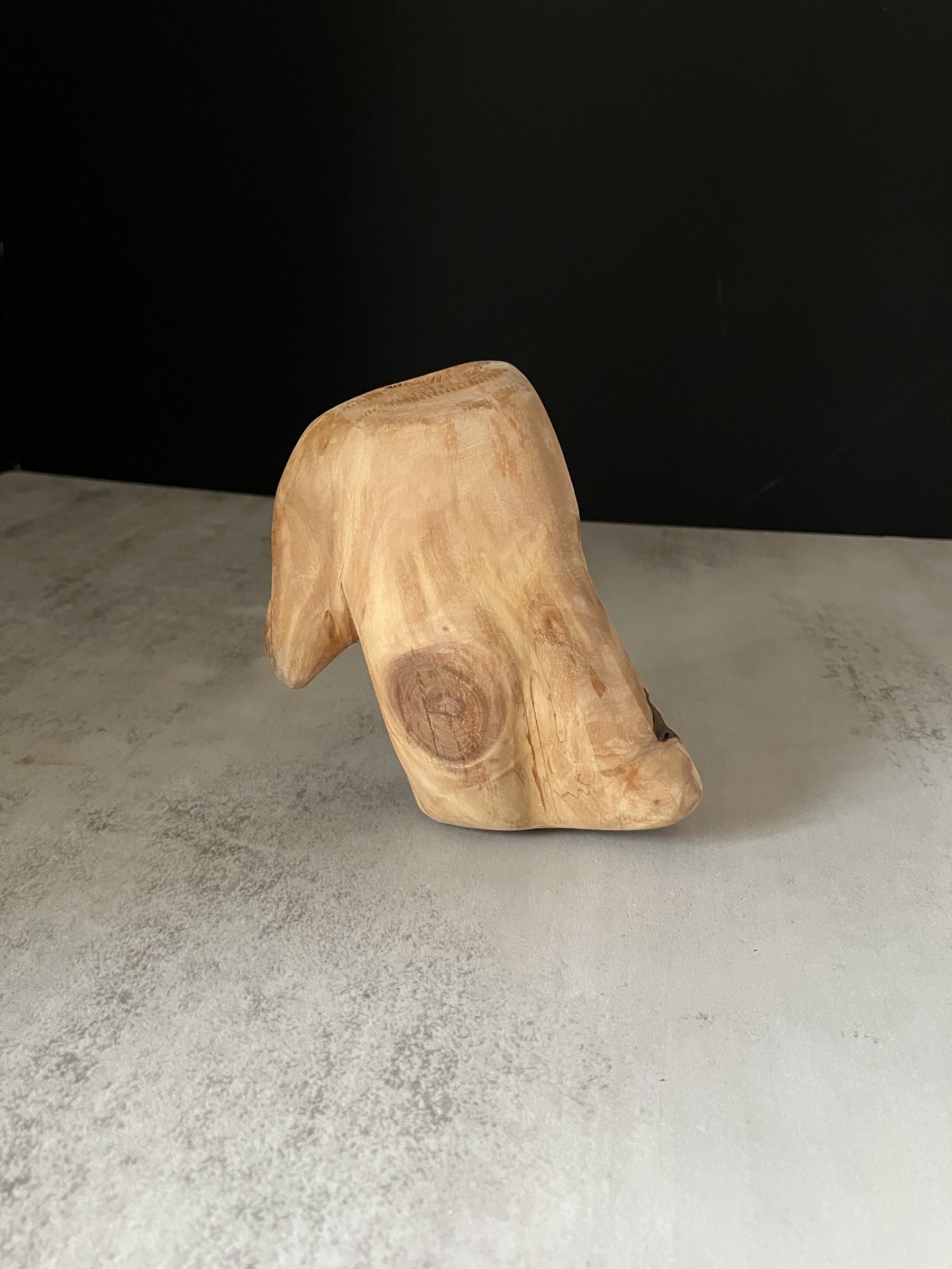 image_0CFE2FE5-4526-4684-96F2-4DFB9EA41A07_1772519923