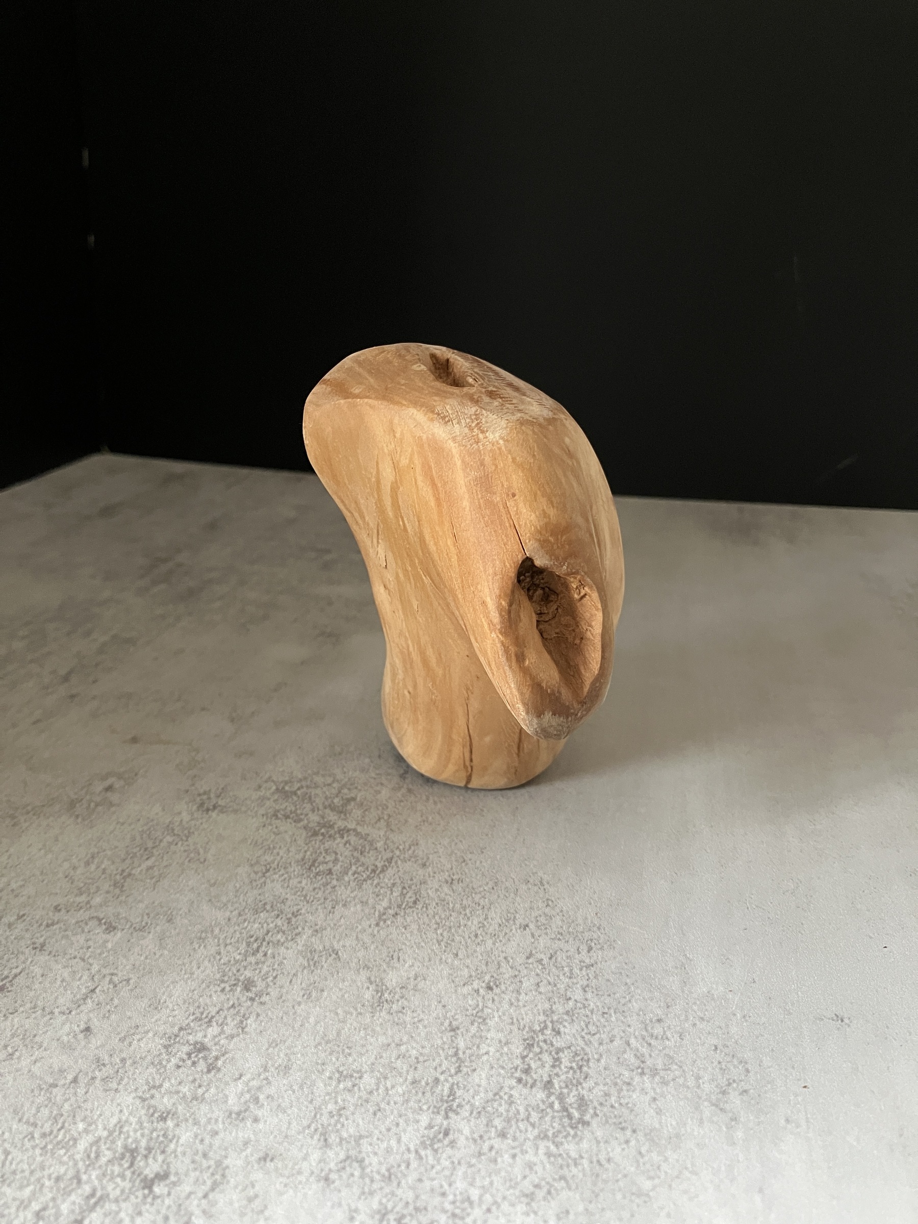 image_475E5466-BEB6-42AA-9499-34BF3BE726A7_1772519923