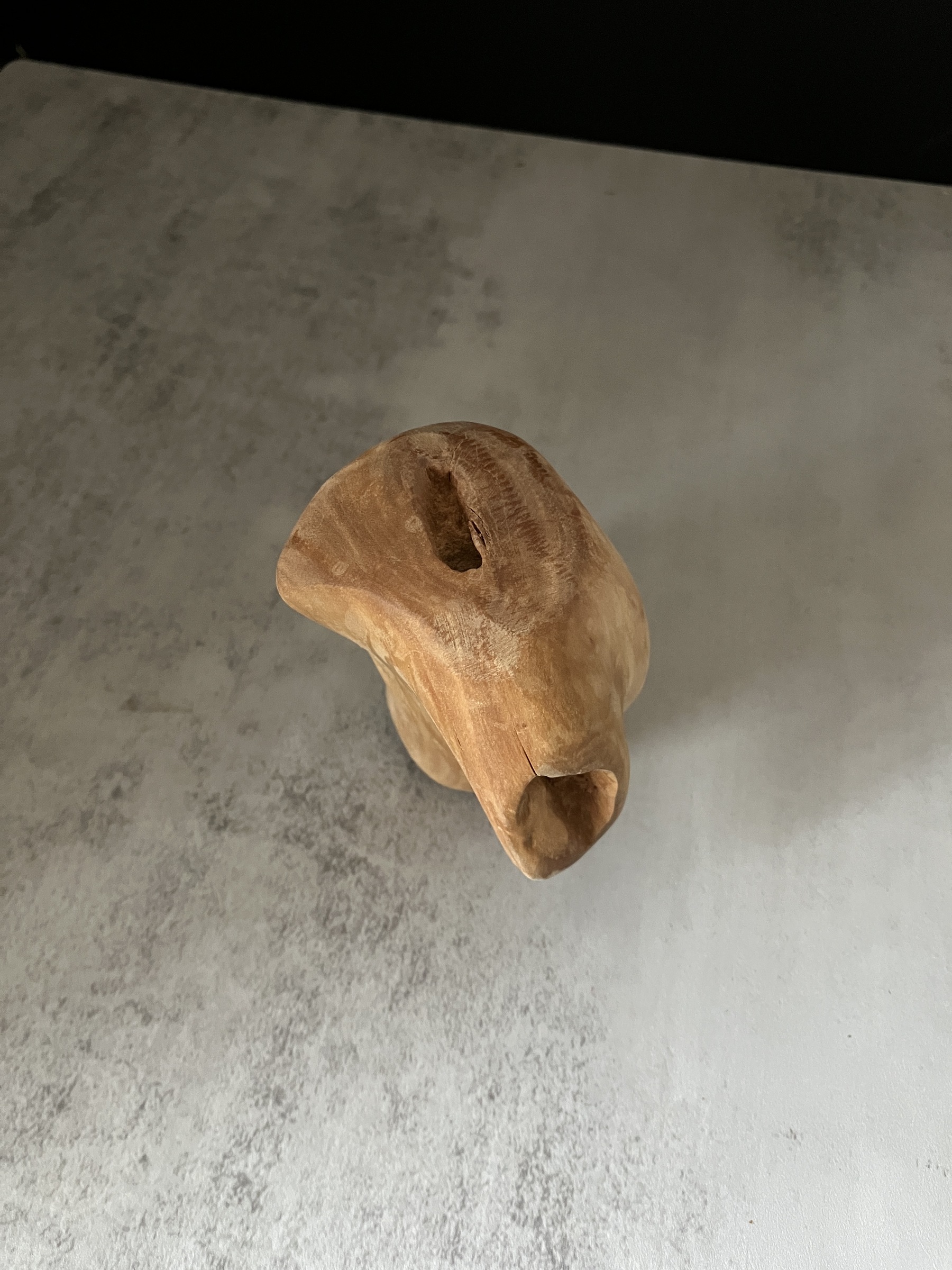 image_977FF5EA-4AA9-4BC6-B874-1DECD5392BCE_1772519923