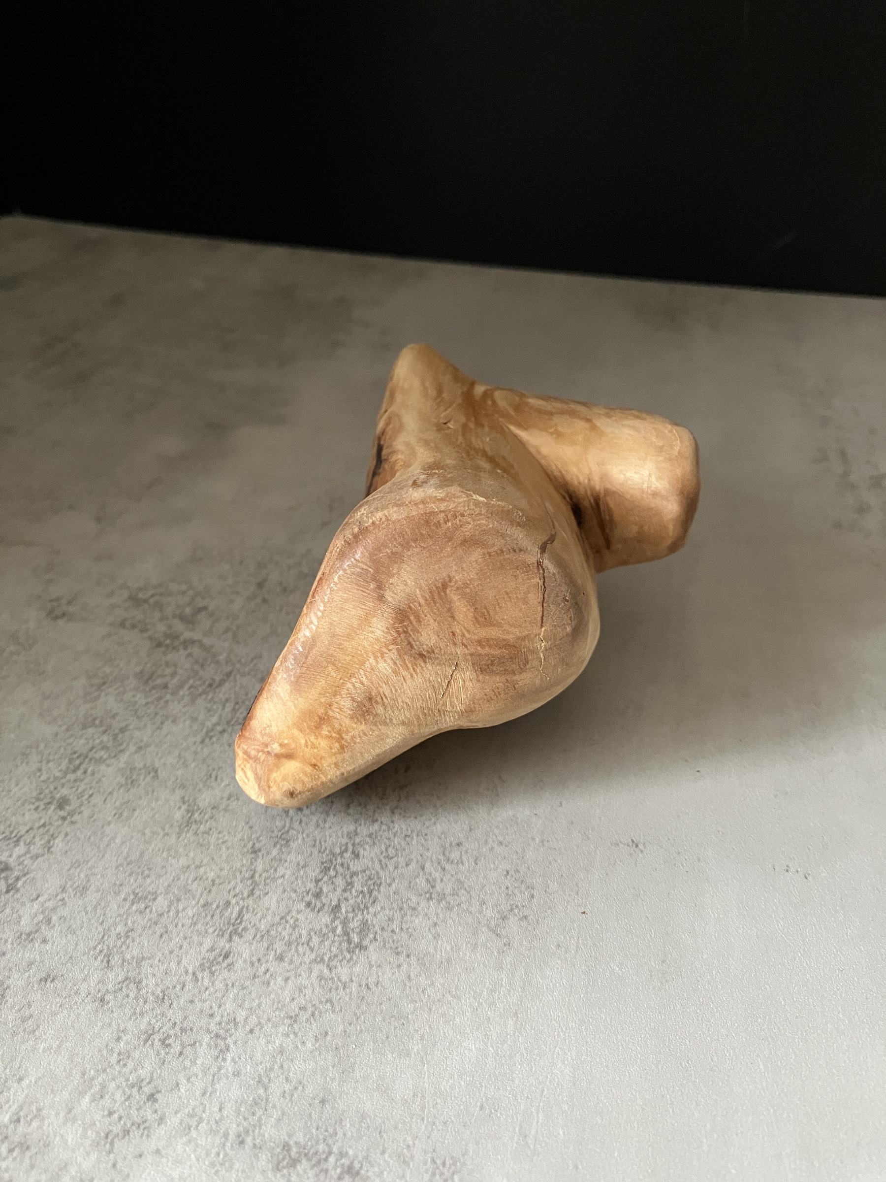 image_92145798-C2A6-4D7E-A53C-85B8A6EF292E_1772519923