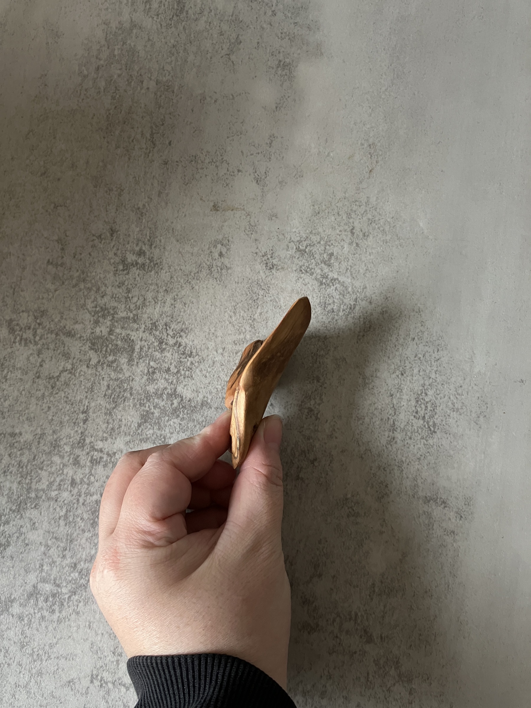 image_279E919F-CD72-45FA-A88E-F333CF9C6AC8_1772520014