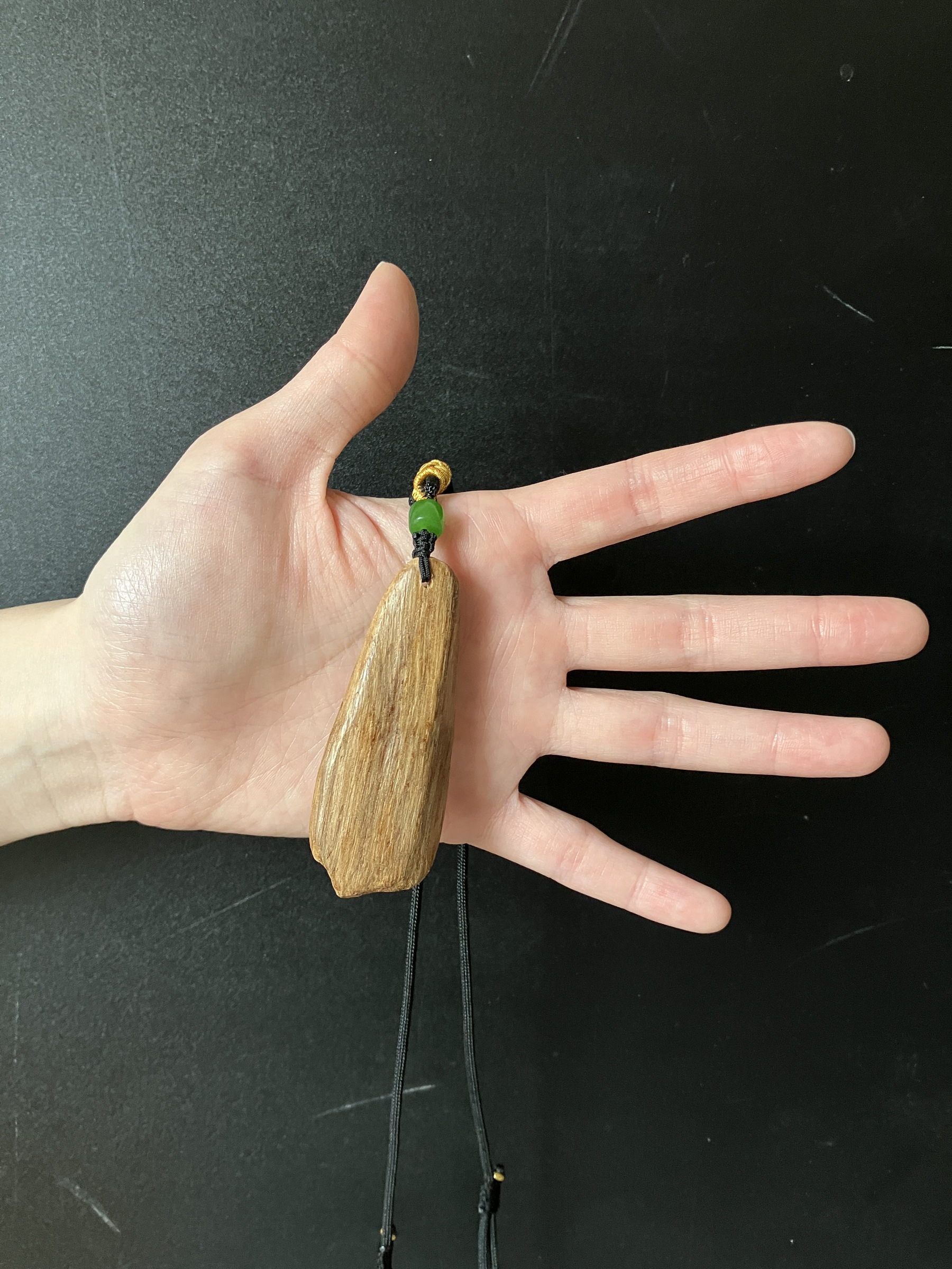 image_688E69D2-CC73-4A21-9245-BEF2392AF3AC_1773211156