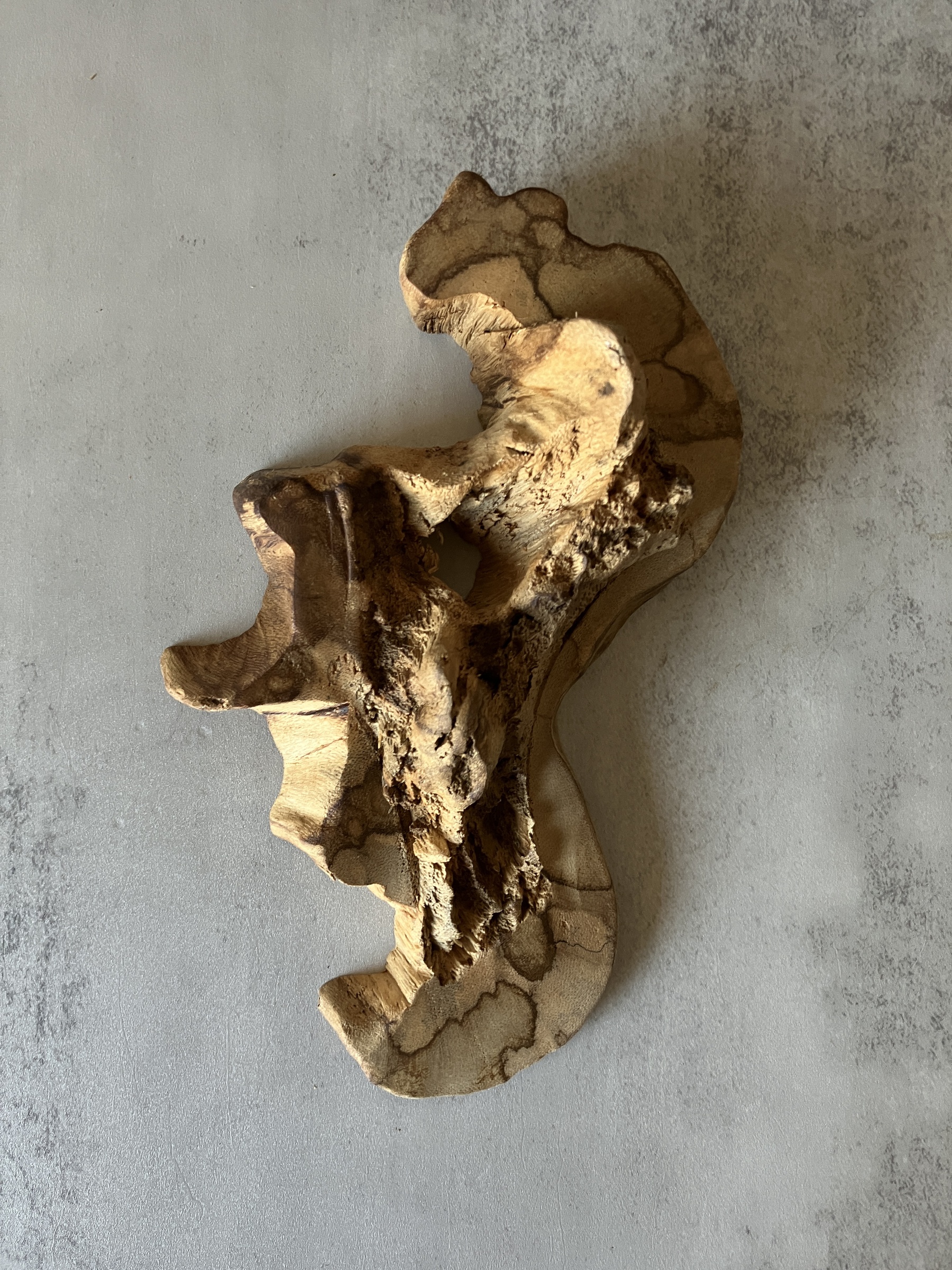 image_5127D19E-6BF4-48C1-A4B4-194DAEDC8216_1773212027