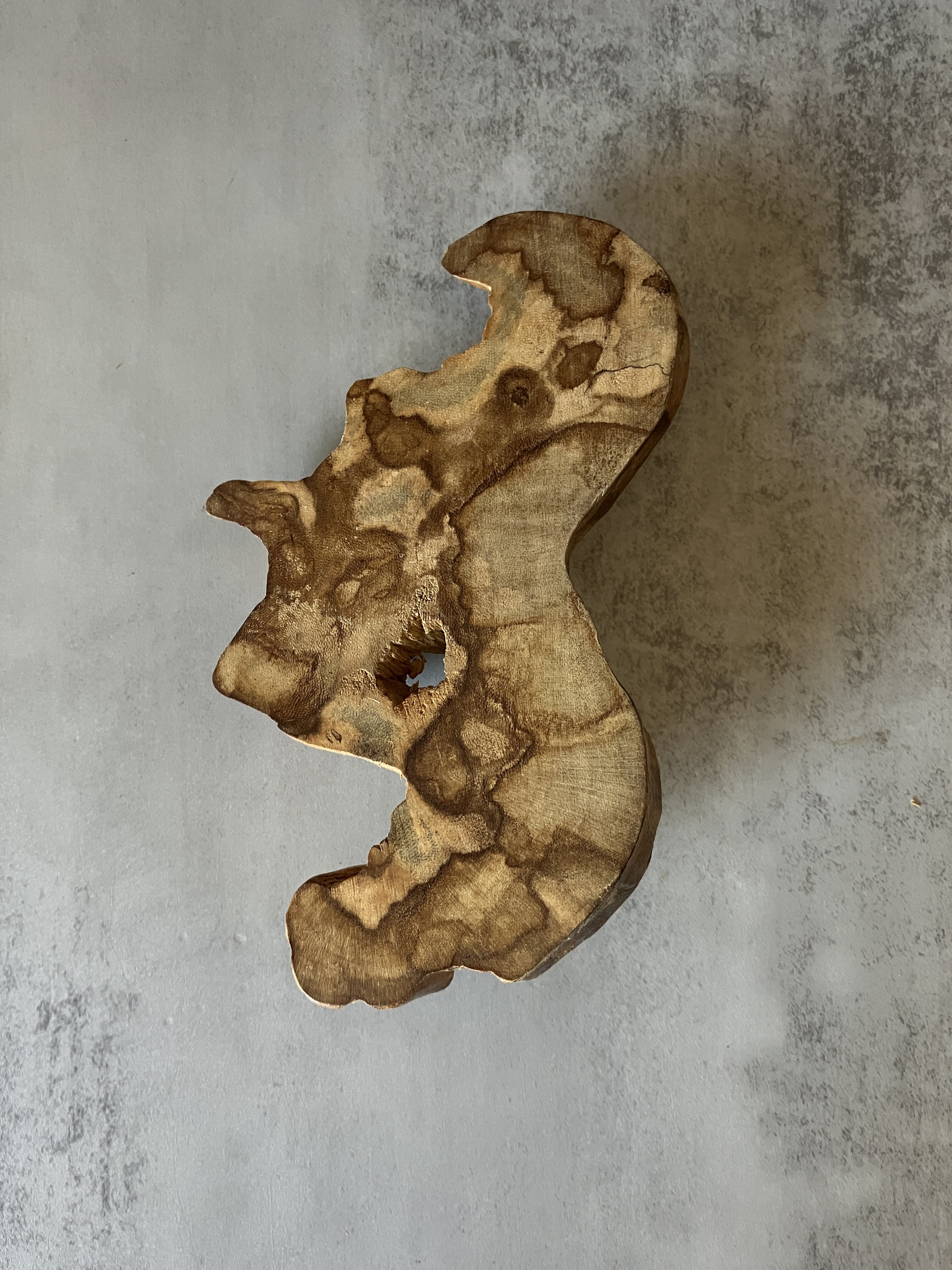 image_FC2FBF42-D8EF-40F7-92B9-2B664F492365_1773212028