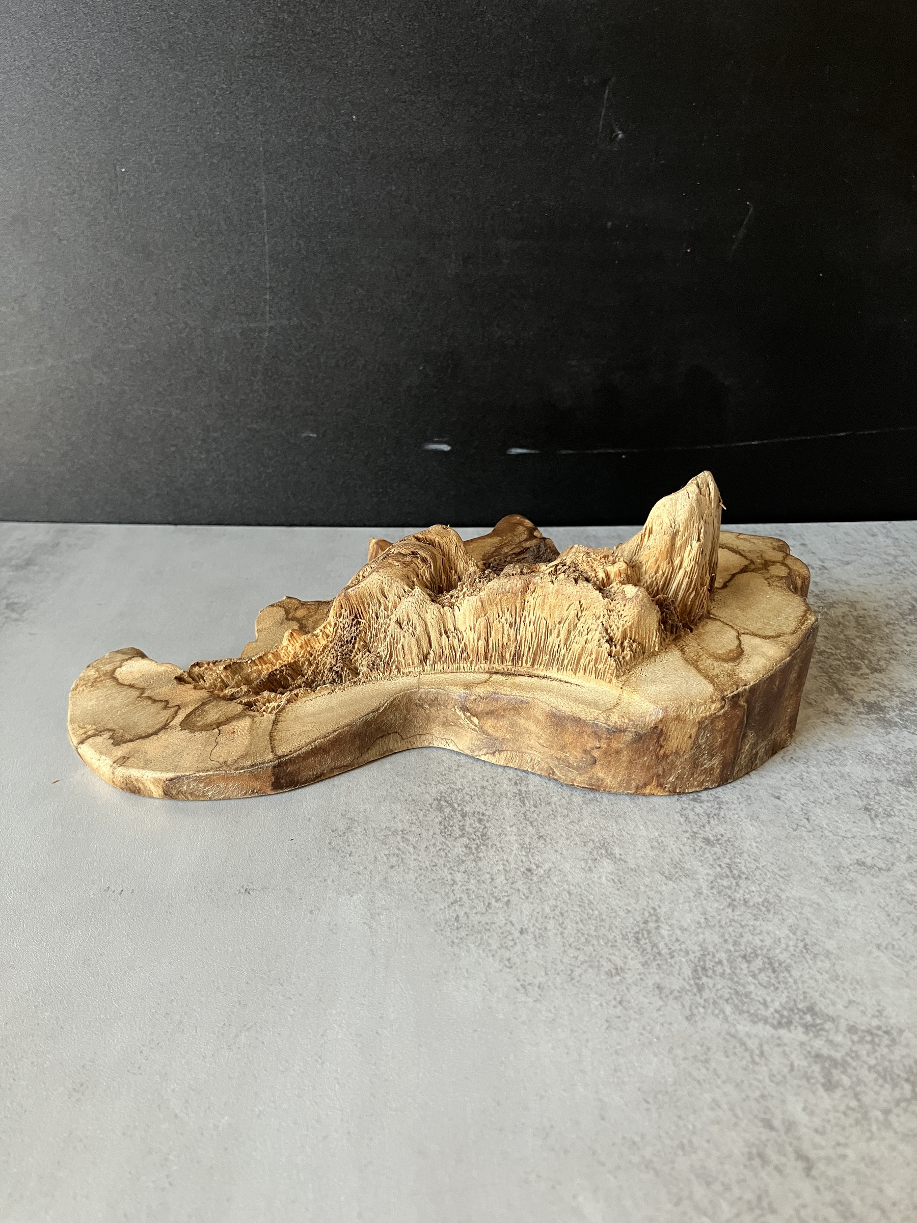 image_00837F50-17CF-45C9-9295-4A905A9505B2_1773212028