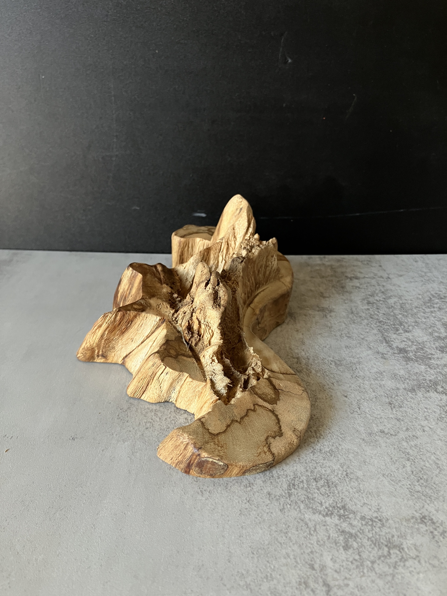 image_B1F8578E-E67D-44B5-82A8-4C5420879A5E_1773212028