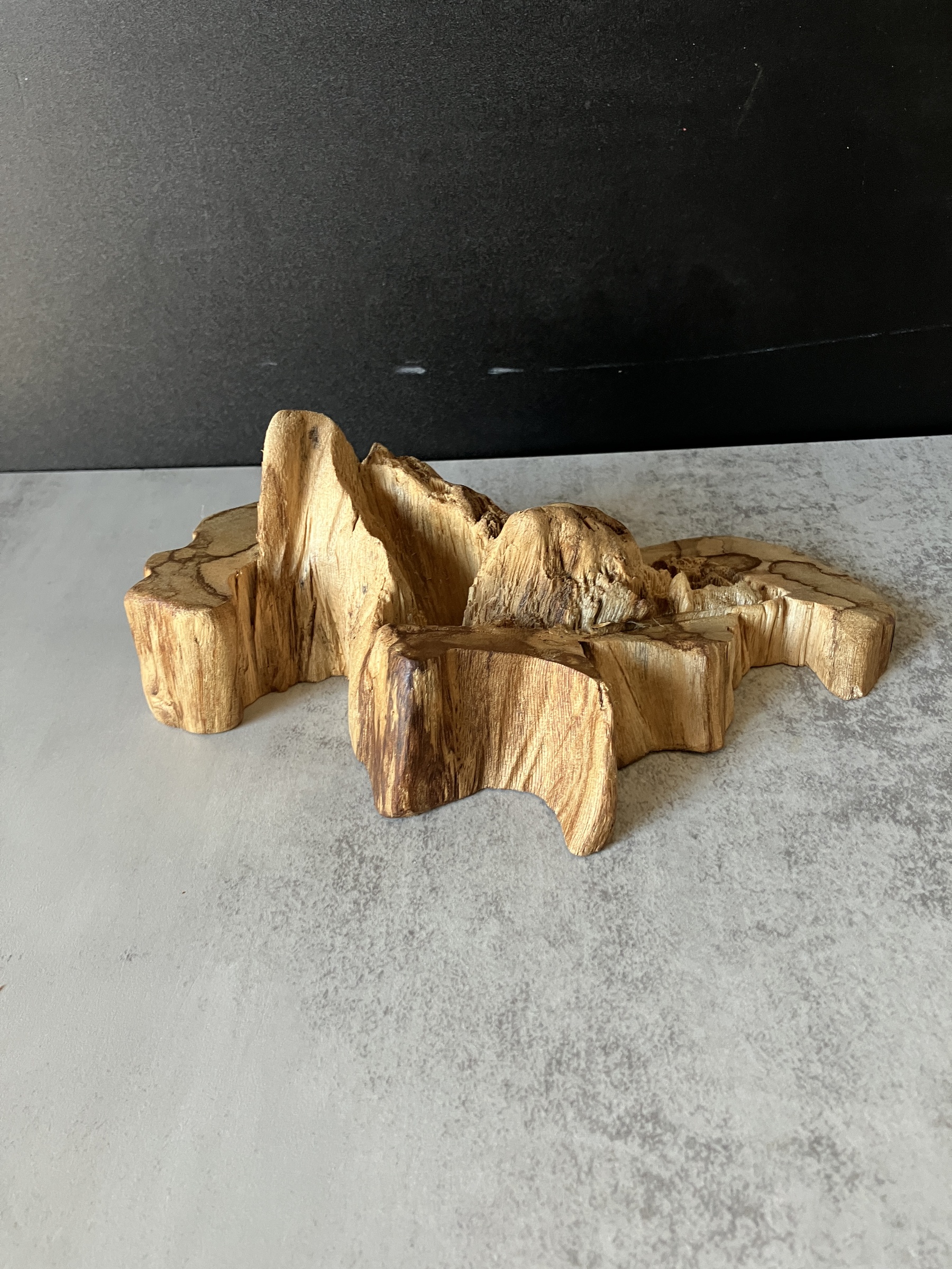 image_0E06A10A-A7EF-4B79-A4B3-7297DD093E1F_1773212028