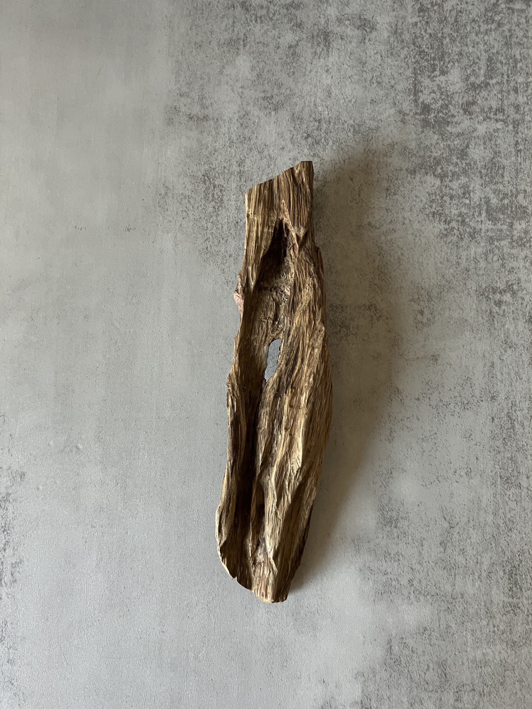 image_A0805A03-5981-451B-8099-767A24DBA174_1773642265