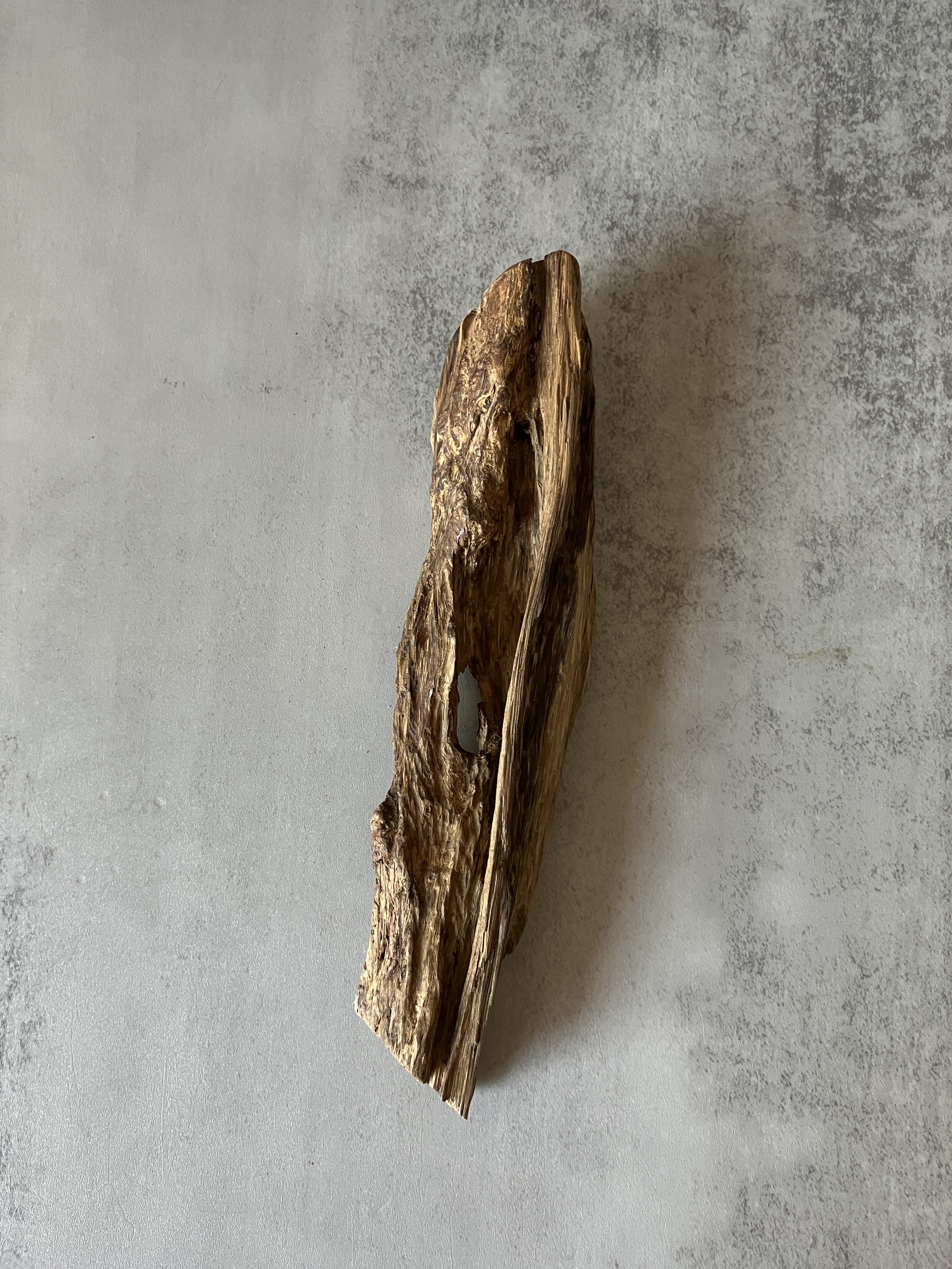 image_534C4B10-82A2-4744-8B81-E8A4E6AADC46_1773642265