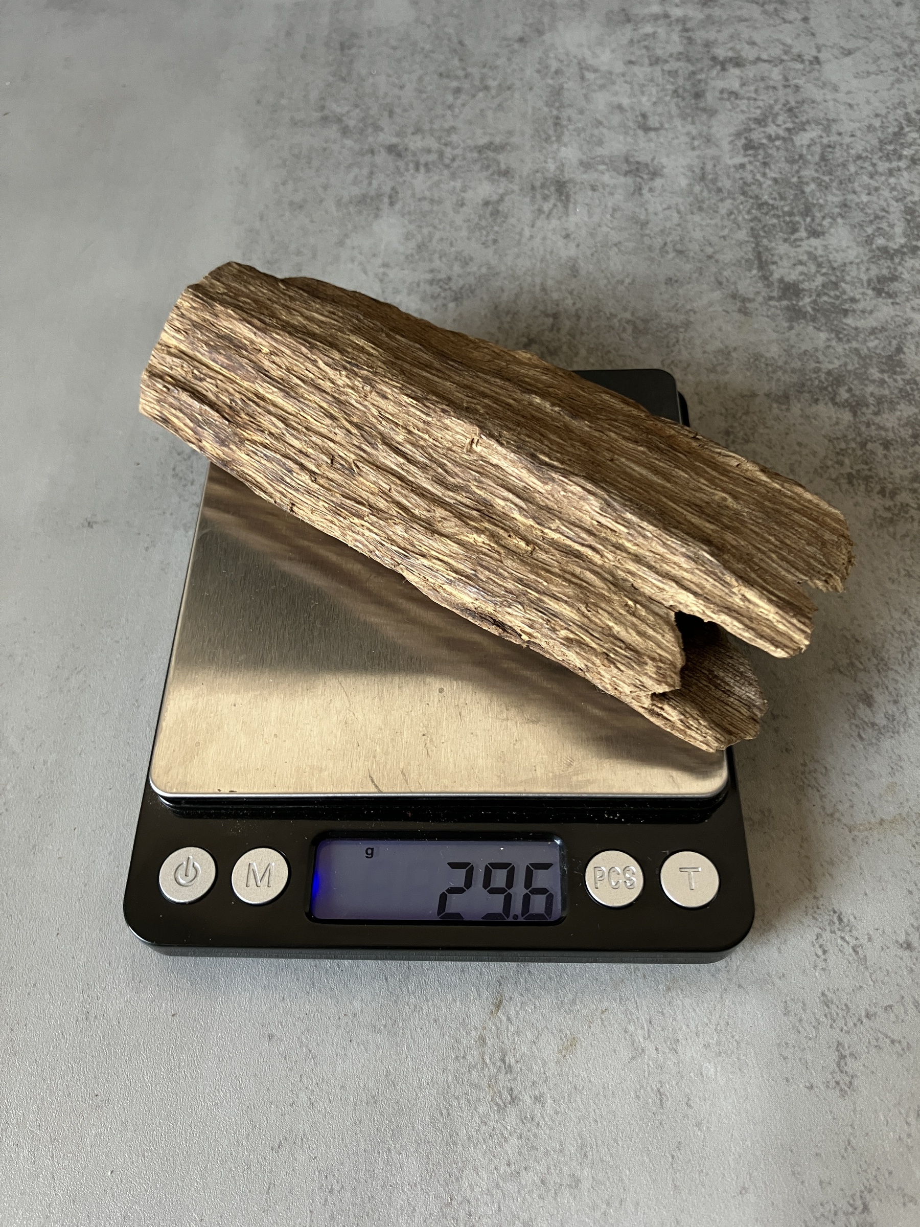 image_299F9231-52E7-4AAA-8AD2-A9734A2015AB_1773642380