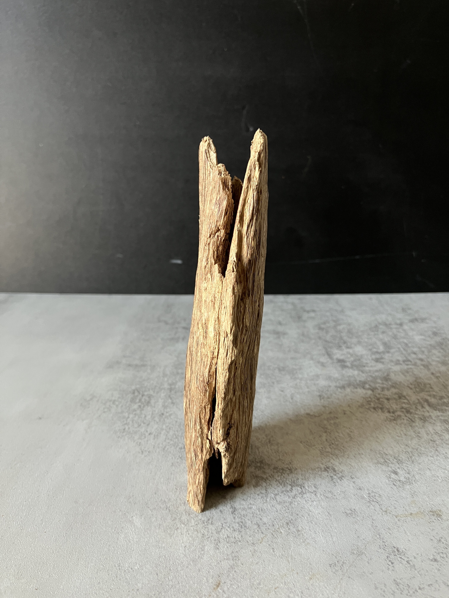 image_F7565DC1-05D6-40CF-9DEF-1EB1406D7225_1773642380