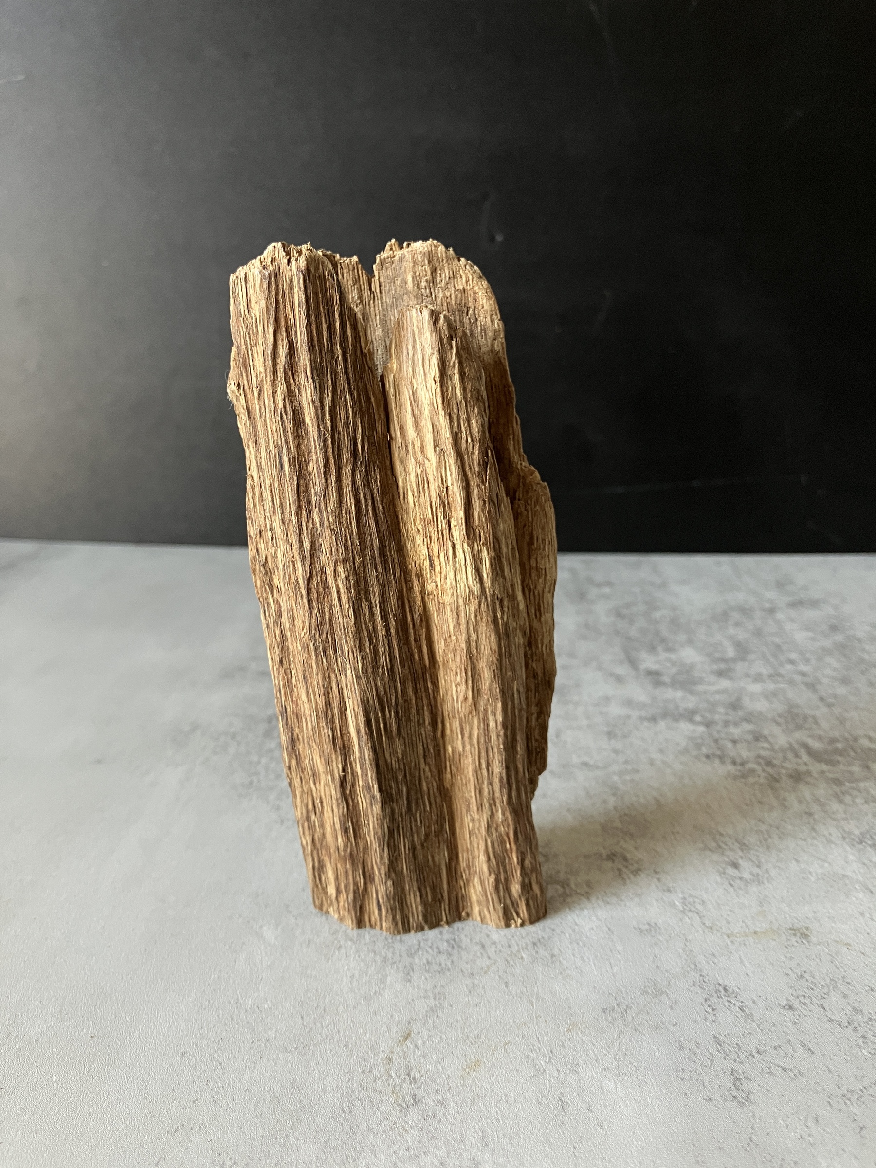 image_A4B64E69-EE3C-4CF0-8D5A-E34221E986B0_1773642380